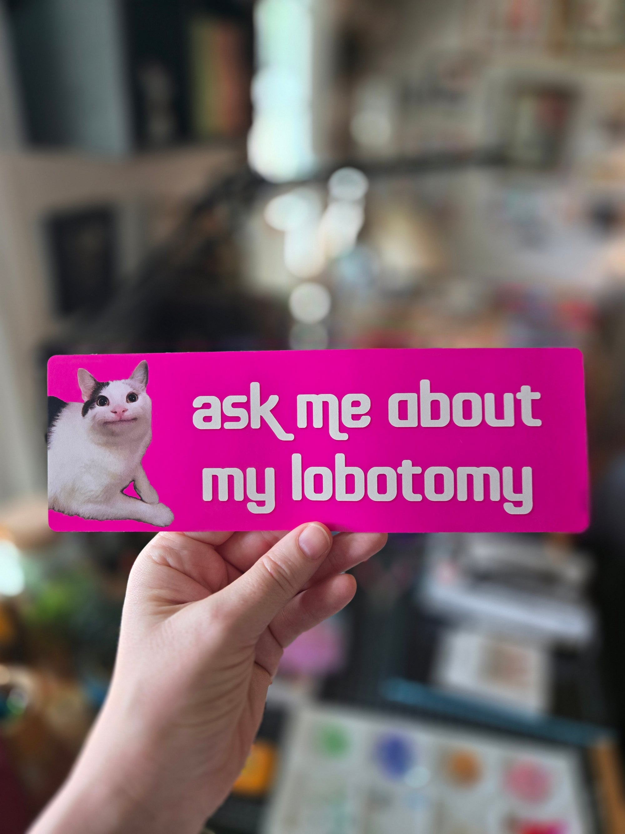 Bright pink rectangular bumper sticker featuring a calm white and gray cat on the left with cream text that says “ask me about my lobotomy.”