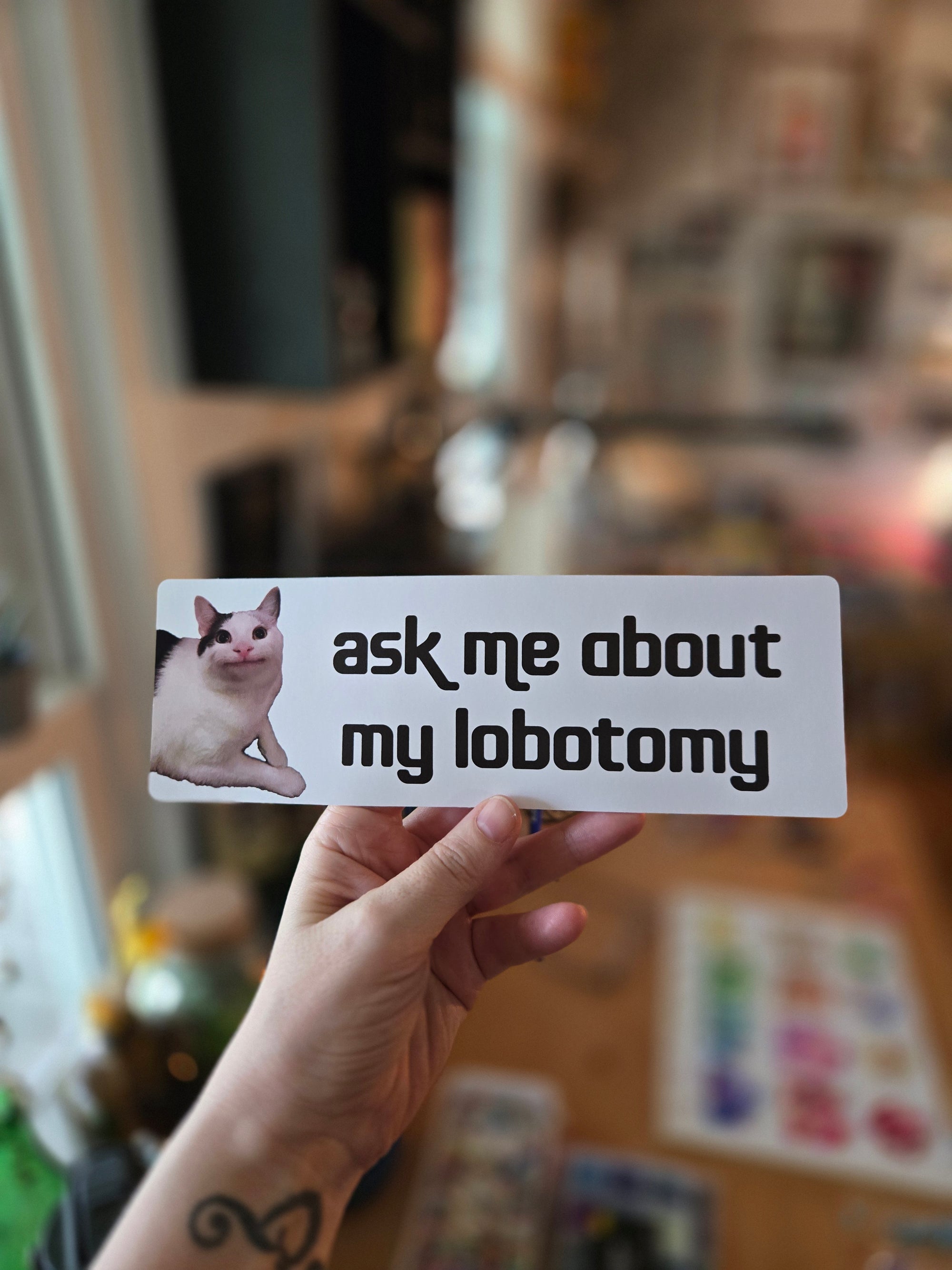 White rectangular bumper sticker featuring a calm white and gray cat on the left with dark gray text that says “ask me about my lobotomy.”