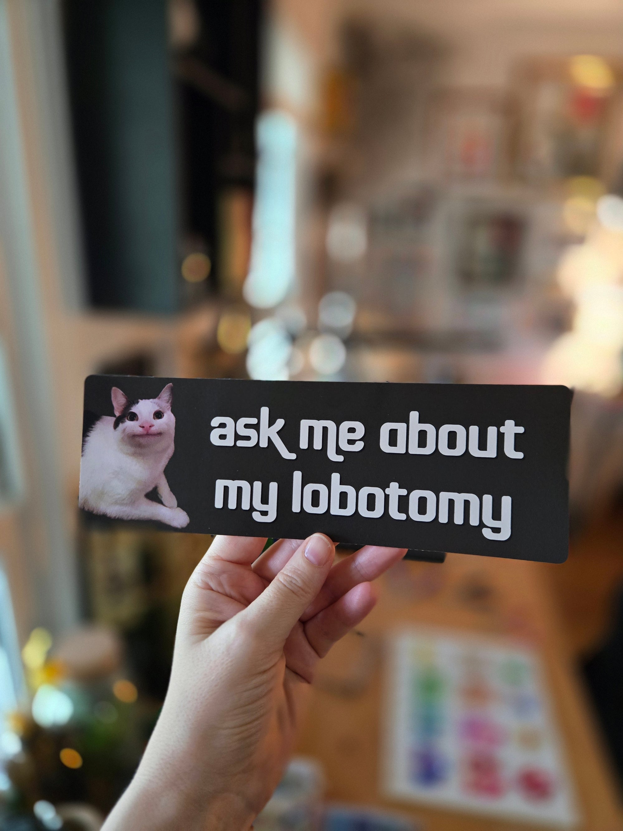 Dark gray rectangular bumper sticker featuring a calm white and gray cat on the left with cream text that says “ask me about my lobotomy.”