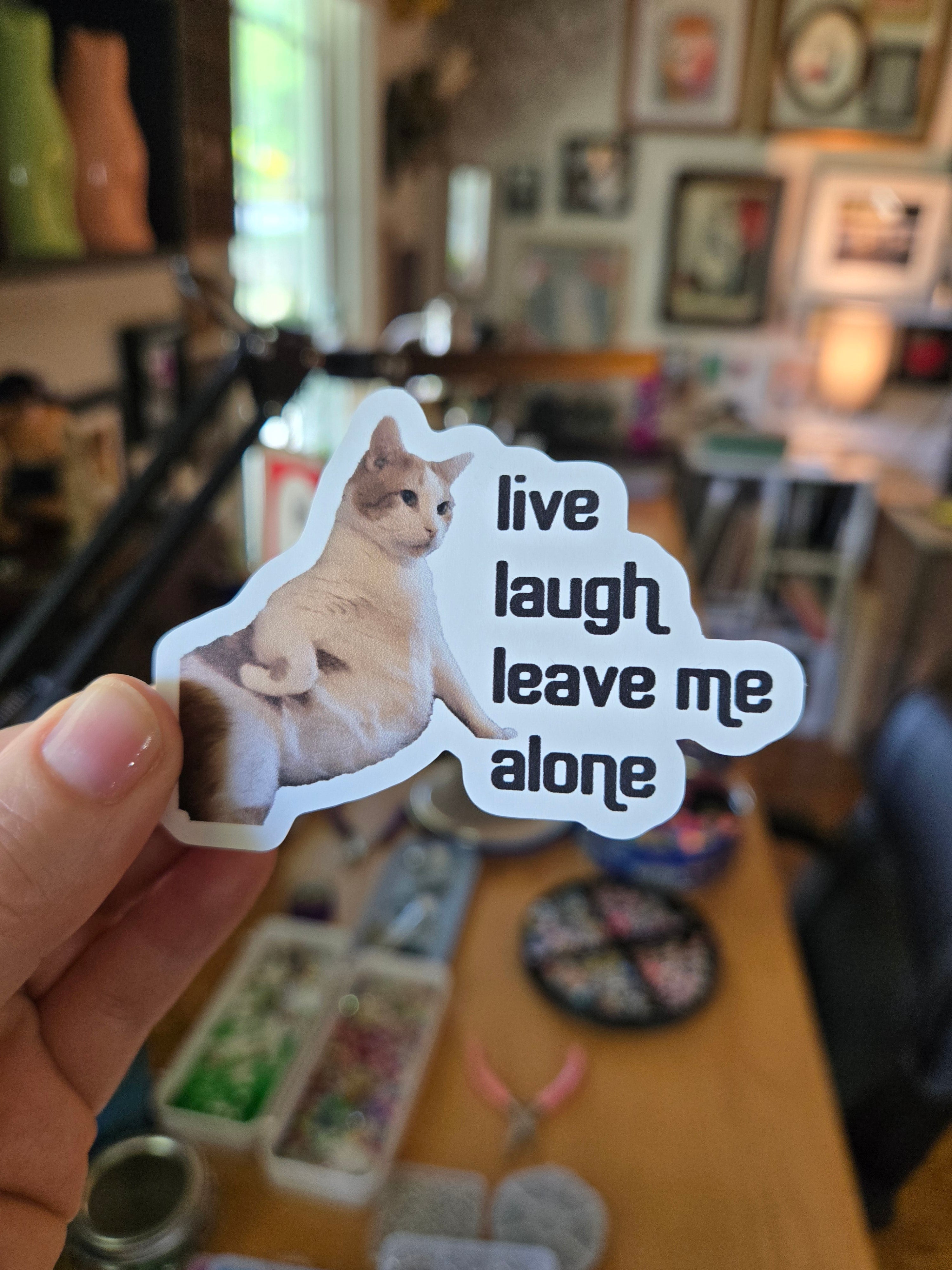 Sticker with a cat and text 'live laugh leave me alone' held in front of a blurred cafe background.