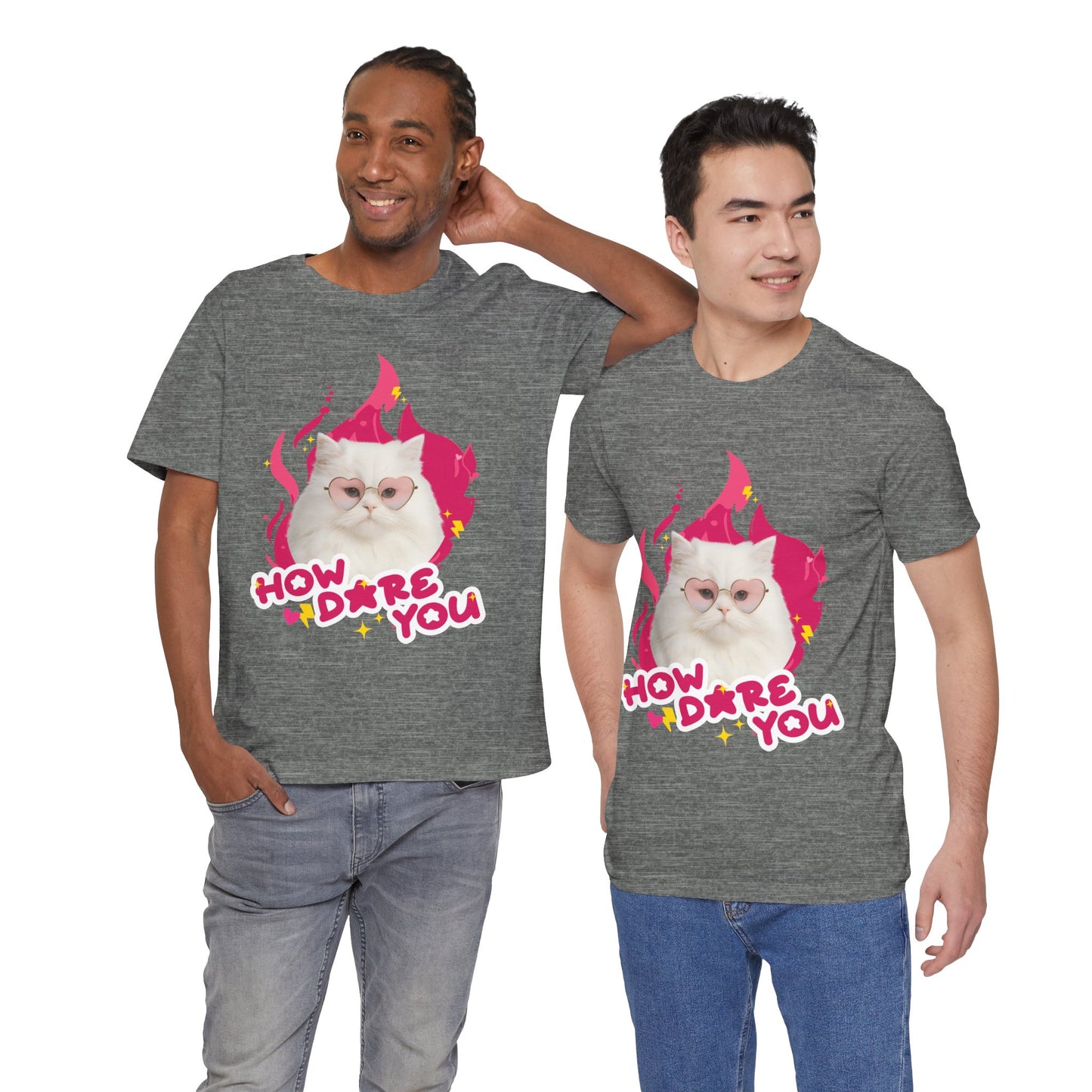 Two men wearing gray t-shirts with a cat graphic and text 'HOW DARE YOU' on a white background.