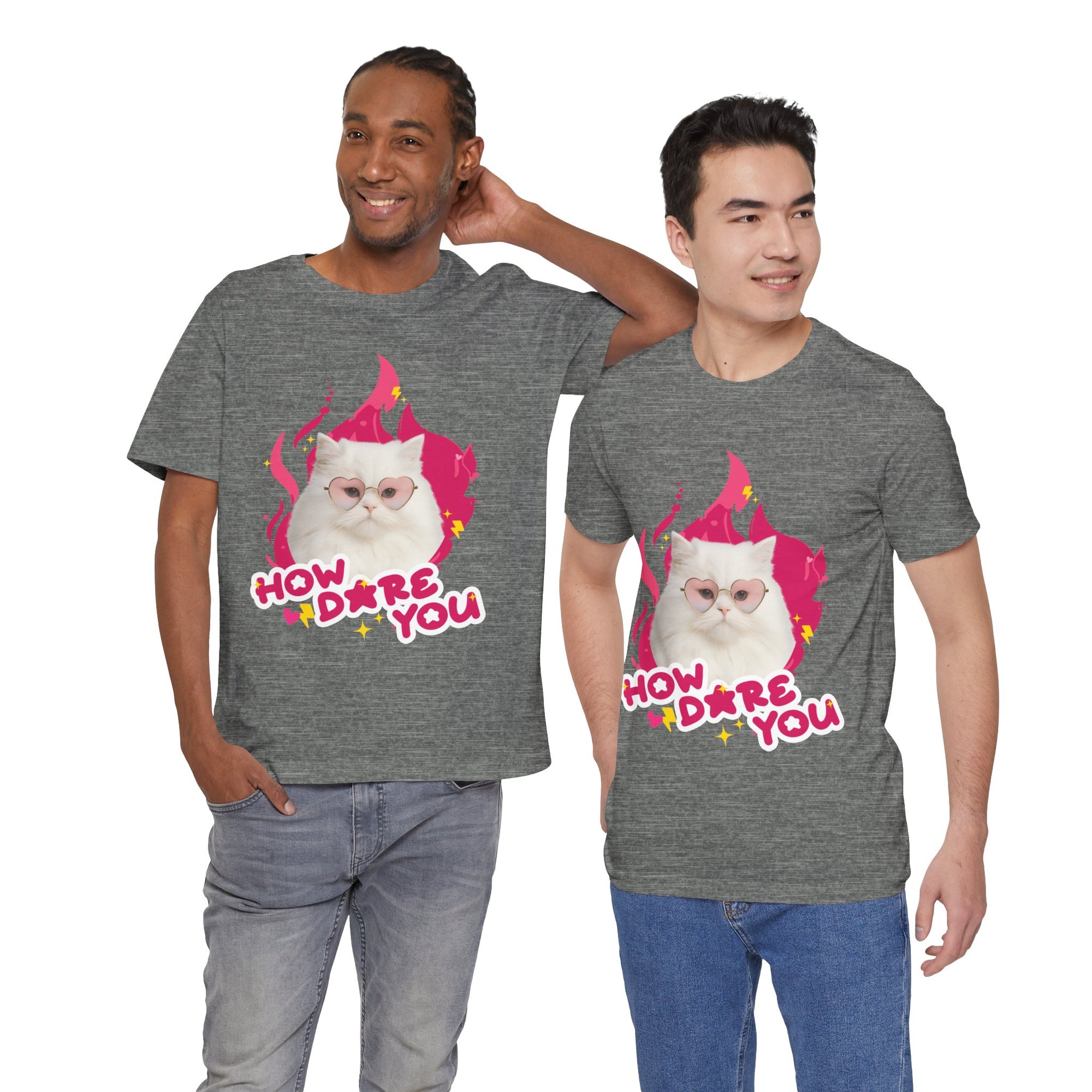 Two men wearing gray t-shirts with a cat graphic and text 'HOW DARE YOU' on a white background.