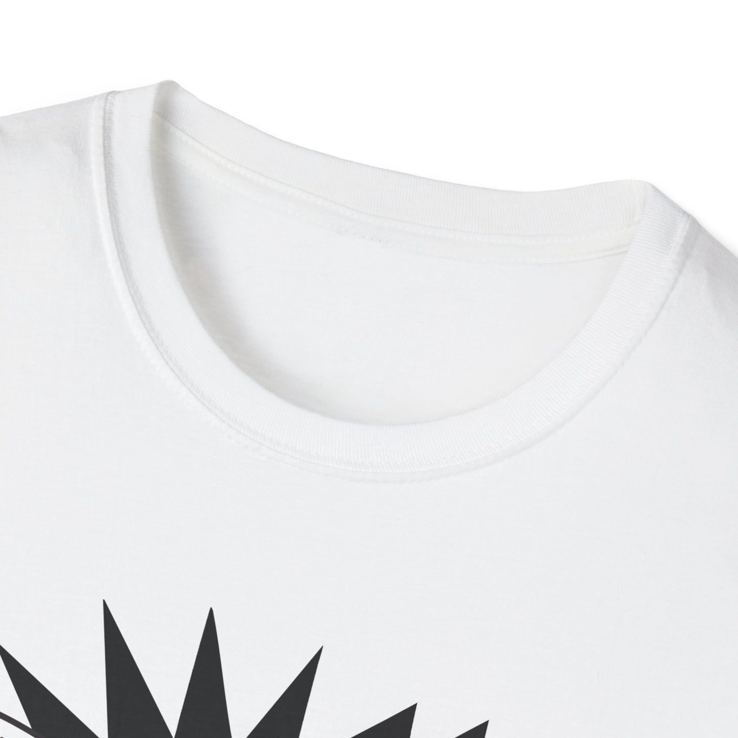 PBS is Punk Cat Shirt
