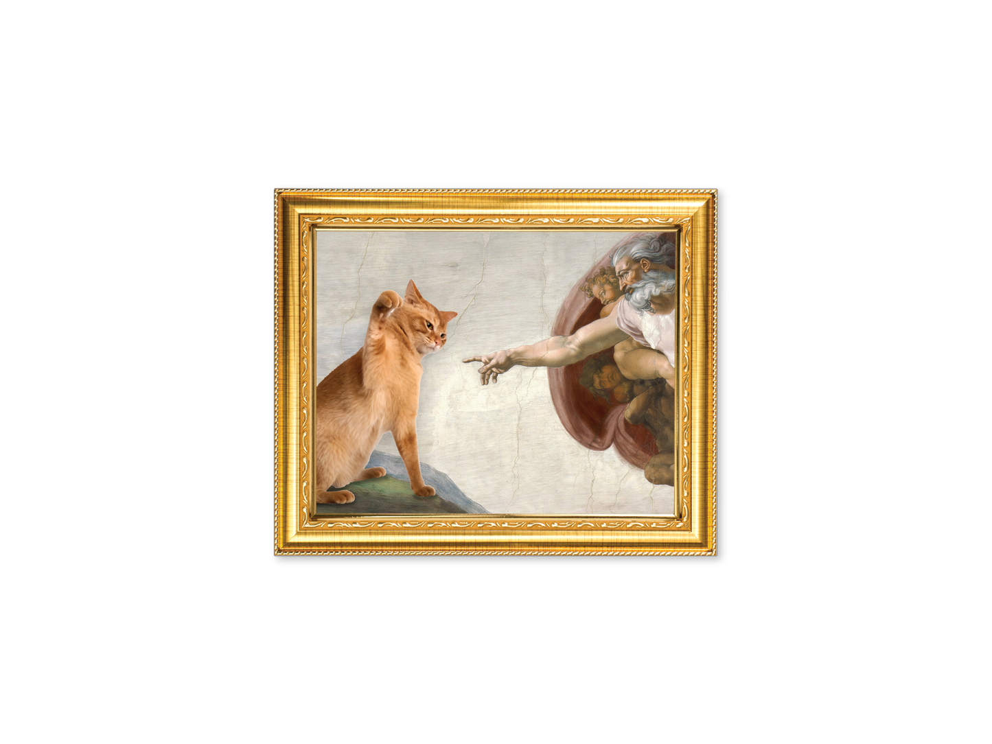 Fridge Magnet Cat Art Set