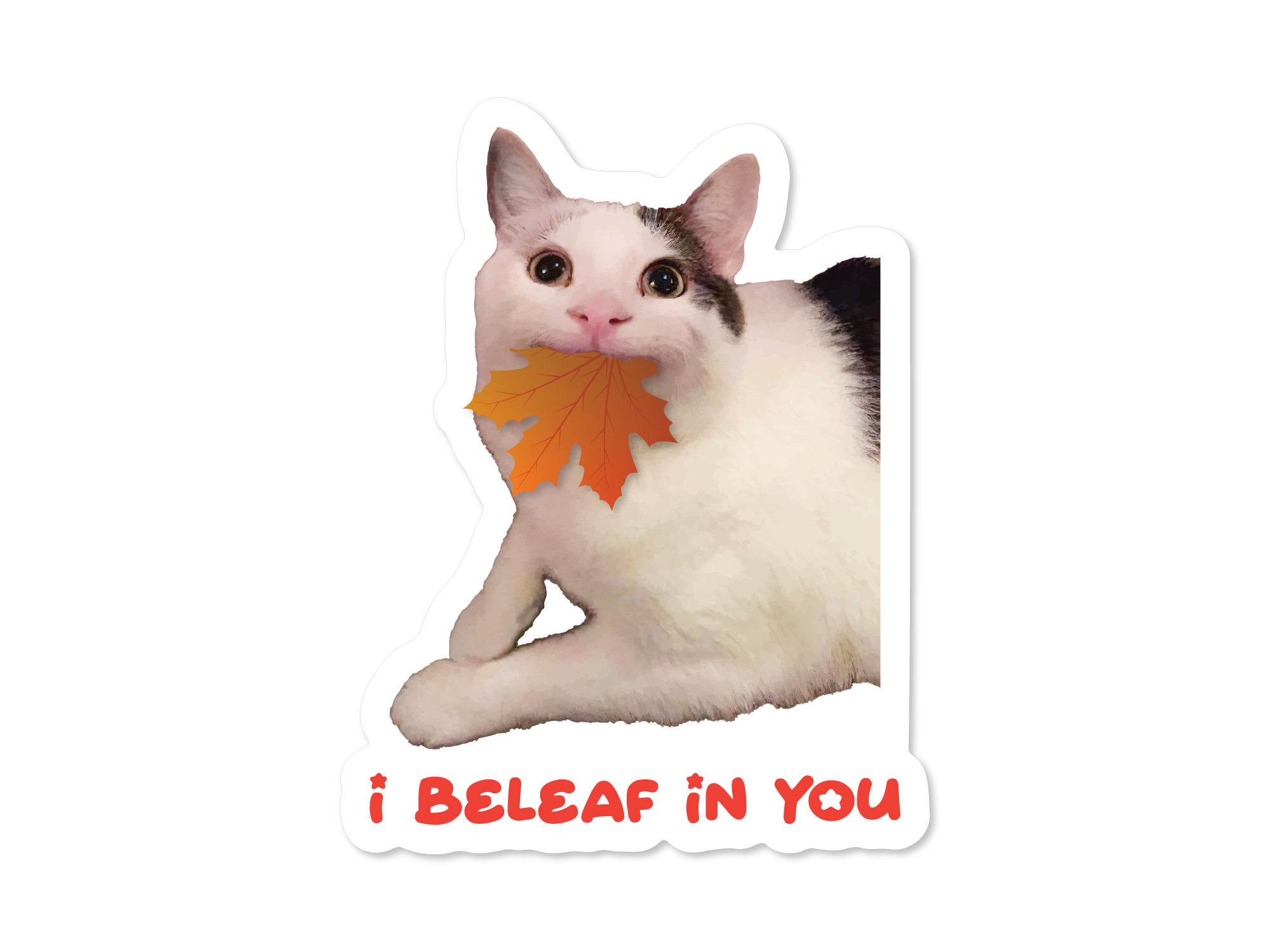 Cat holding a leaf with 'i beleaf in you' text on a white background