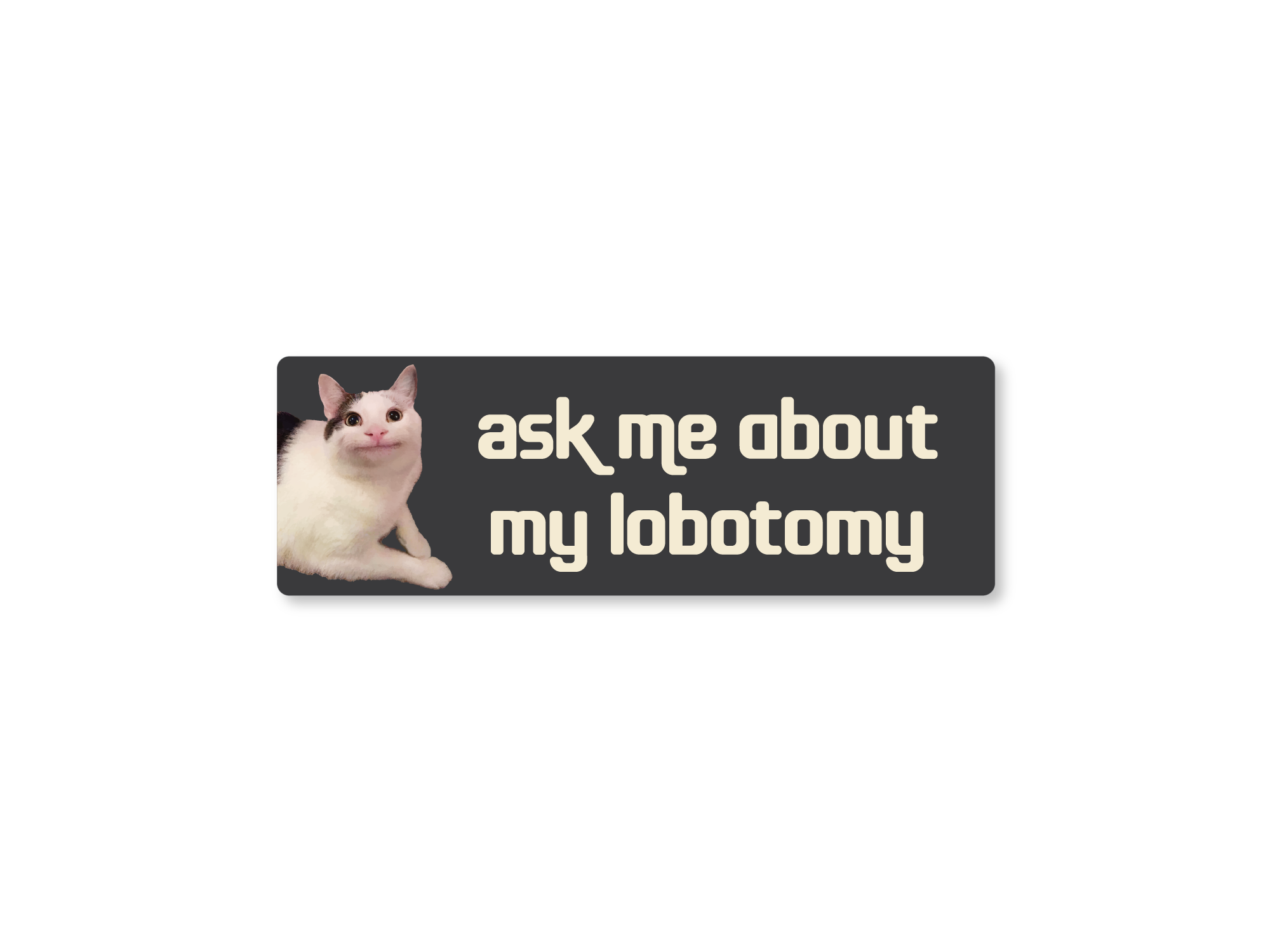 Dark gray rectangular bumper sticker featuring a calm white and gray cat on the left with cream text that says “ask me about my lobotomy.”