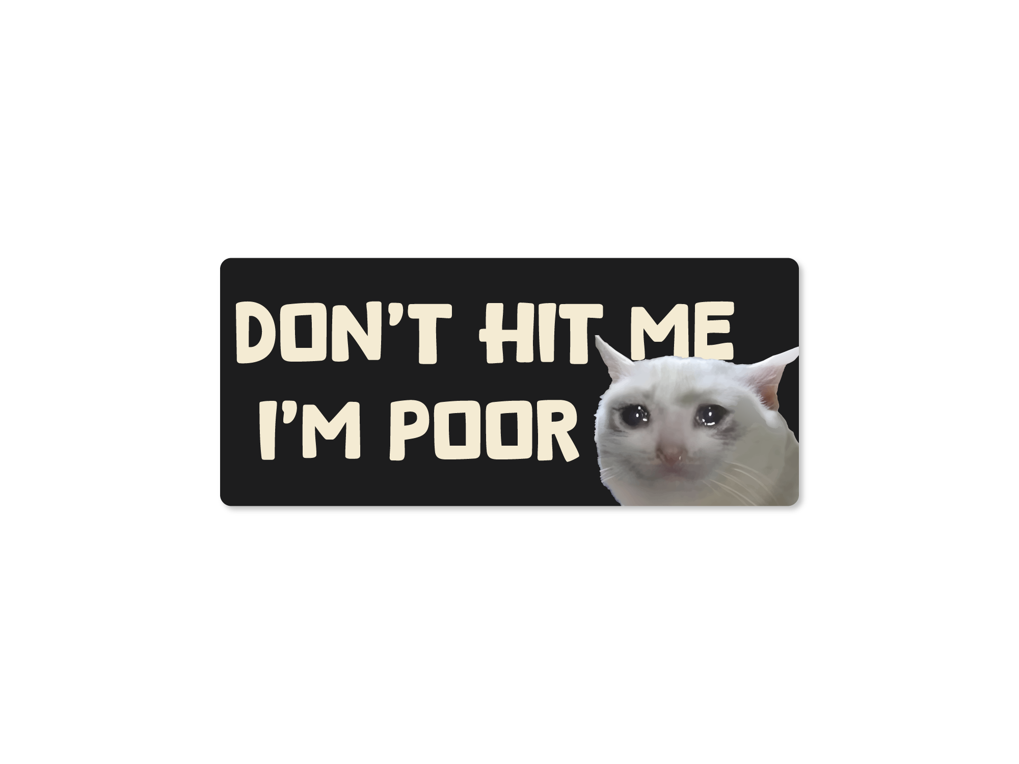 rectangular “Don’t Hit Me I’m Poor” bumper stickers, black, featuring a teary-eyed white cat with bold cream lettering.
