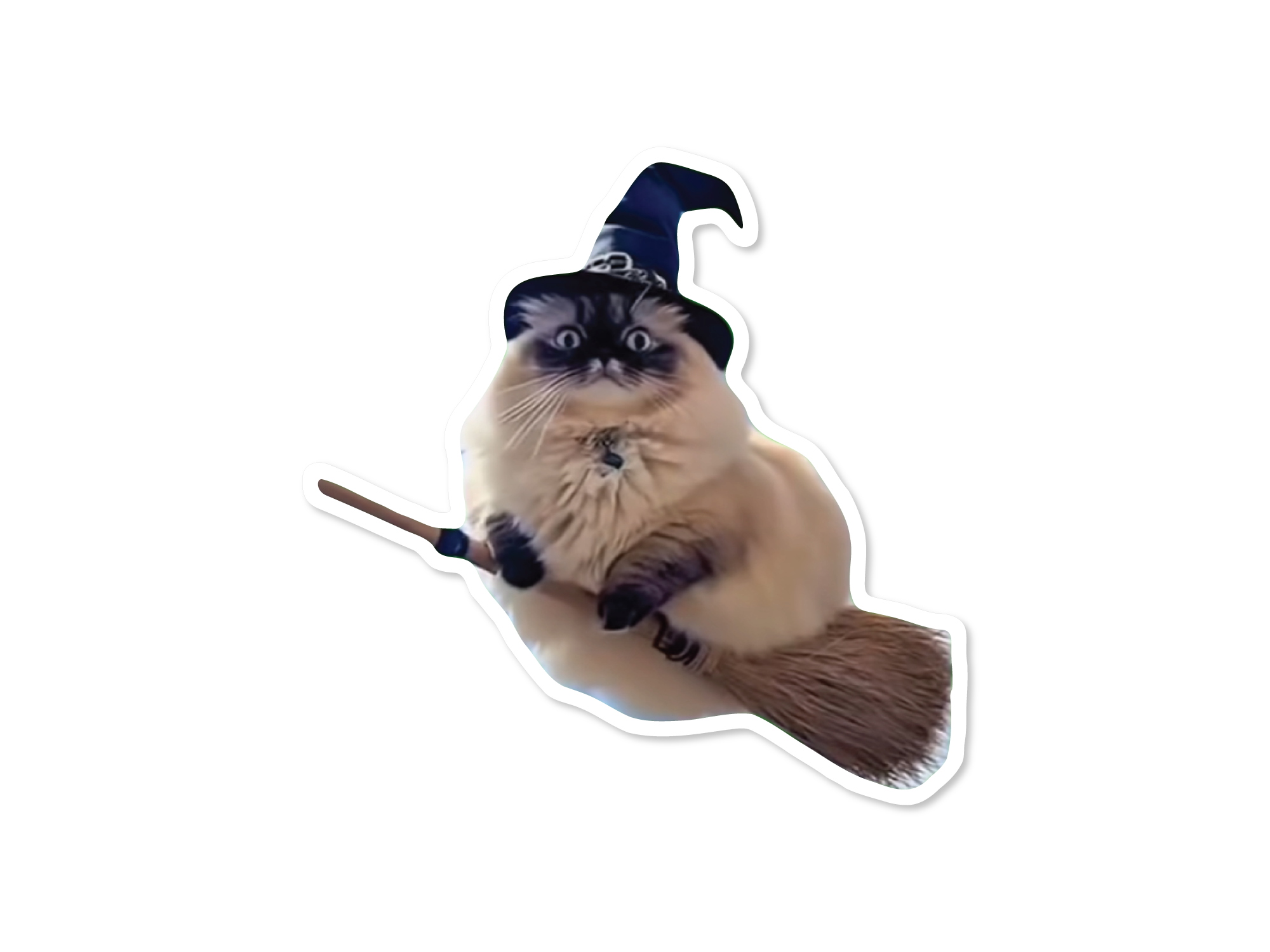 Cat wearing a witch hat with a broom on a white background