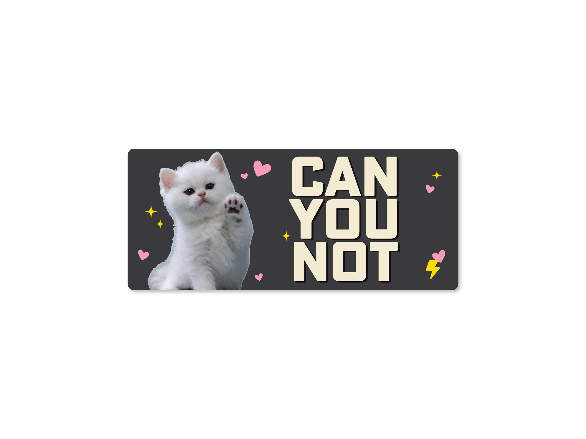 Sticker with a white cat and text 'CAN YOU NOT' on a black background