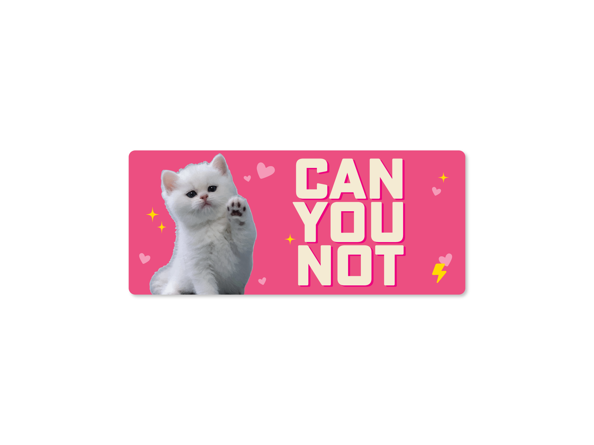 Sticker with a cat and text 'CAN YOU NOT' on a pink background