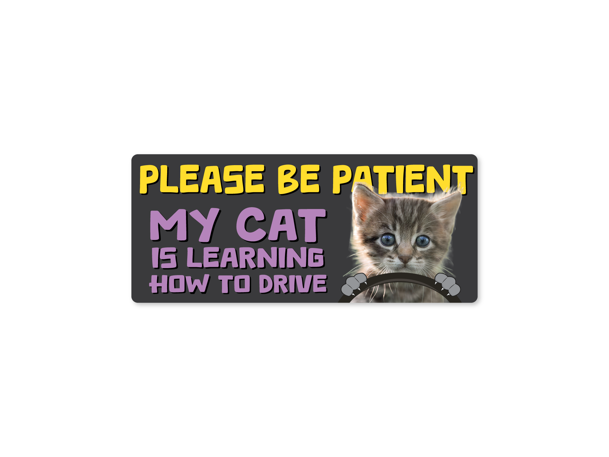Sticker with a cat and text 'Please be patient, my cat is learning how to drive' on a white background.