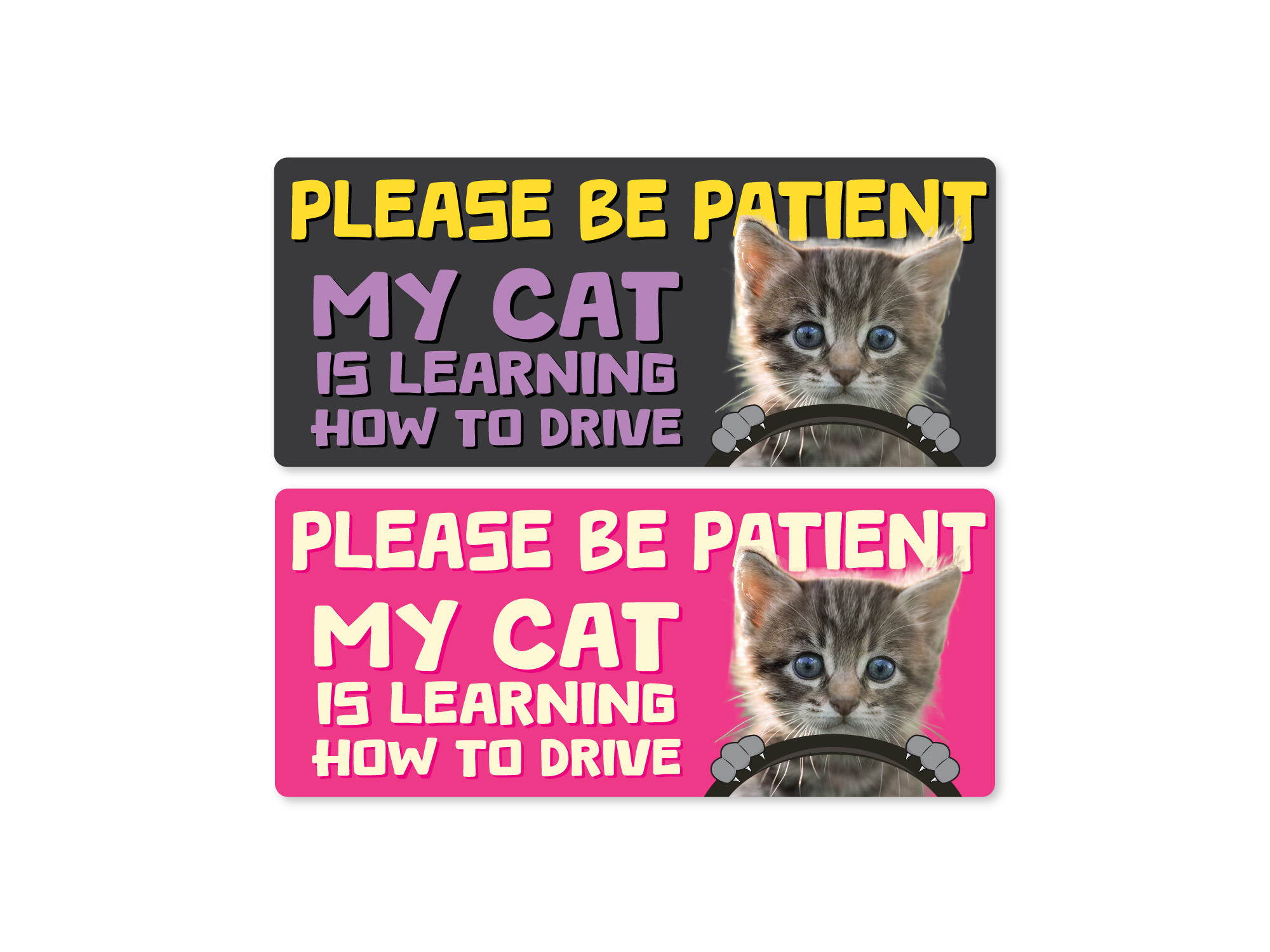 Two bumper stickers with a kitten graphic and text about patience and learning to drive on a white background.