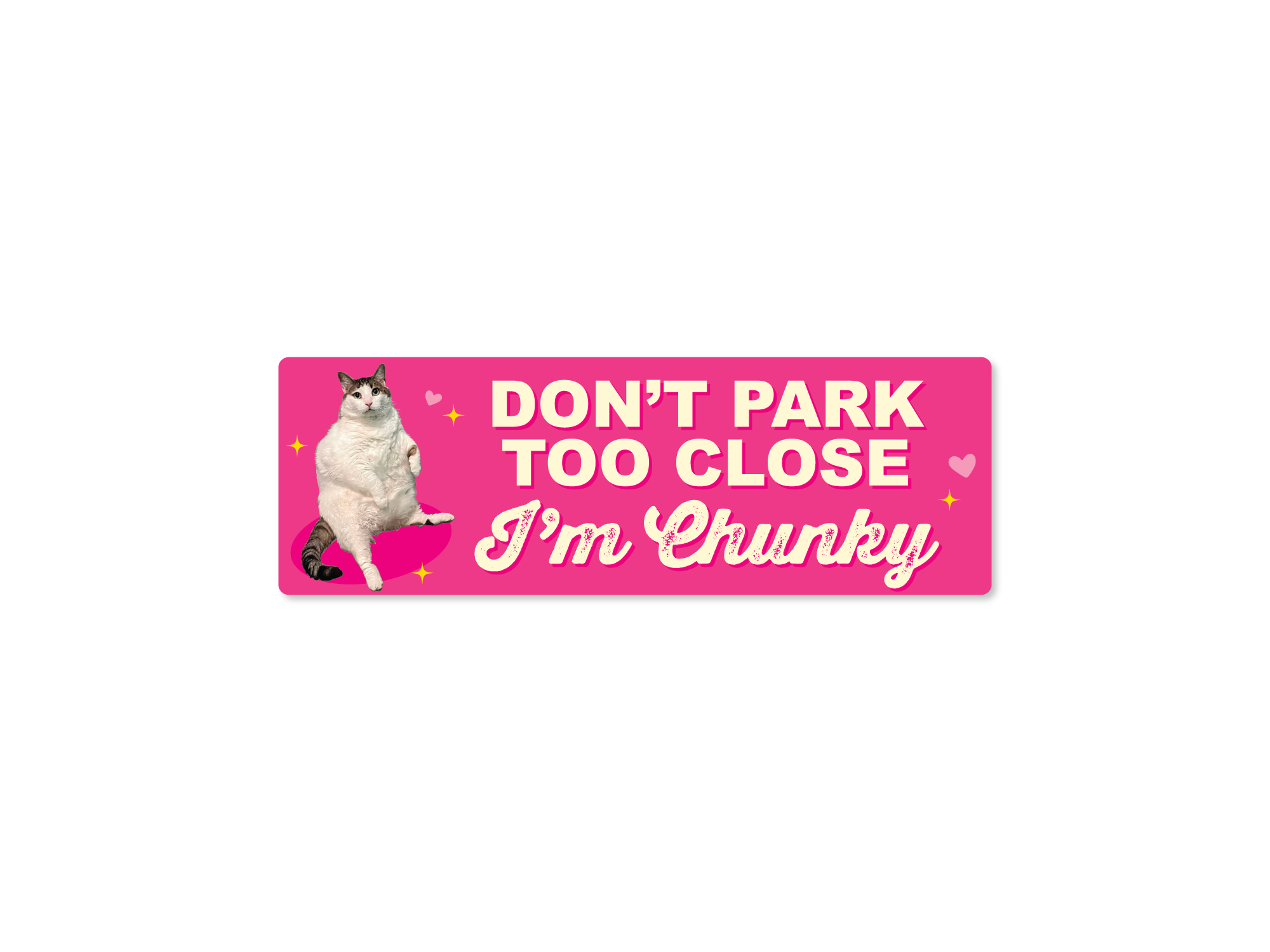 A bumper sticker with a photo of an overweight cat on the left and the text 'DON'T PARK TOO CLOSE I'm Chunky' in white lettering, shown on a plain white background.