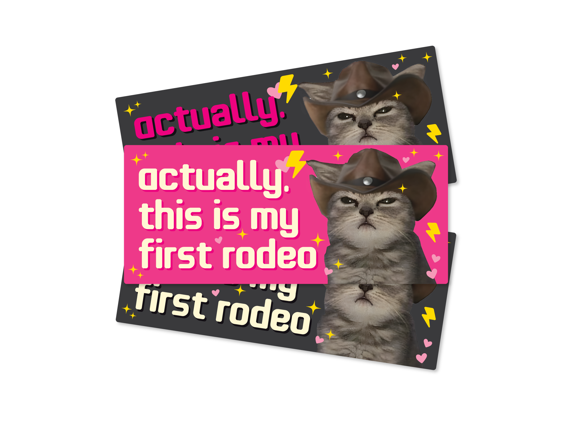 First Rodeo Cat Sticker | Funny Meme Decal | Sticker Bongo – StickerBongo