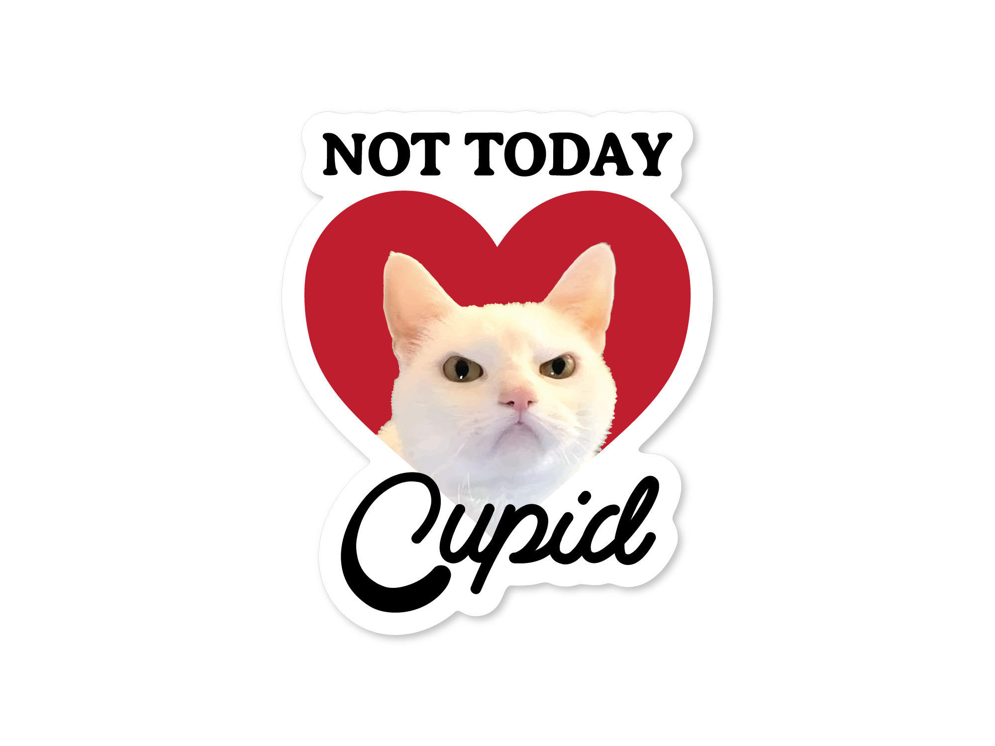 Sticker with a cat's face, red heart, and text 'Not Today Cupid' on a white background