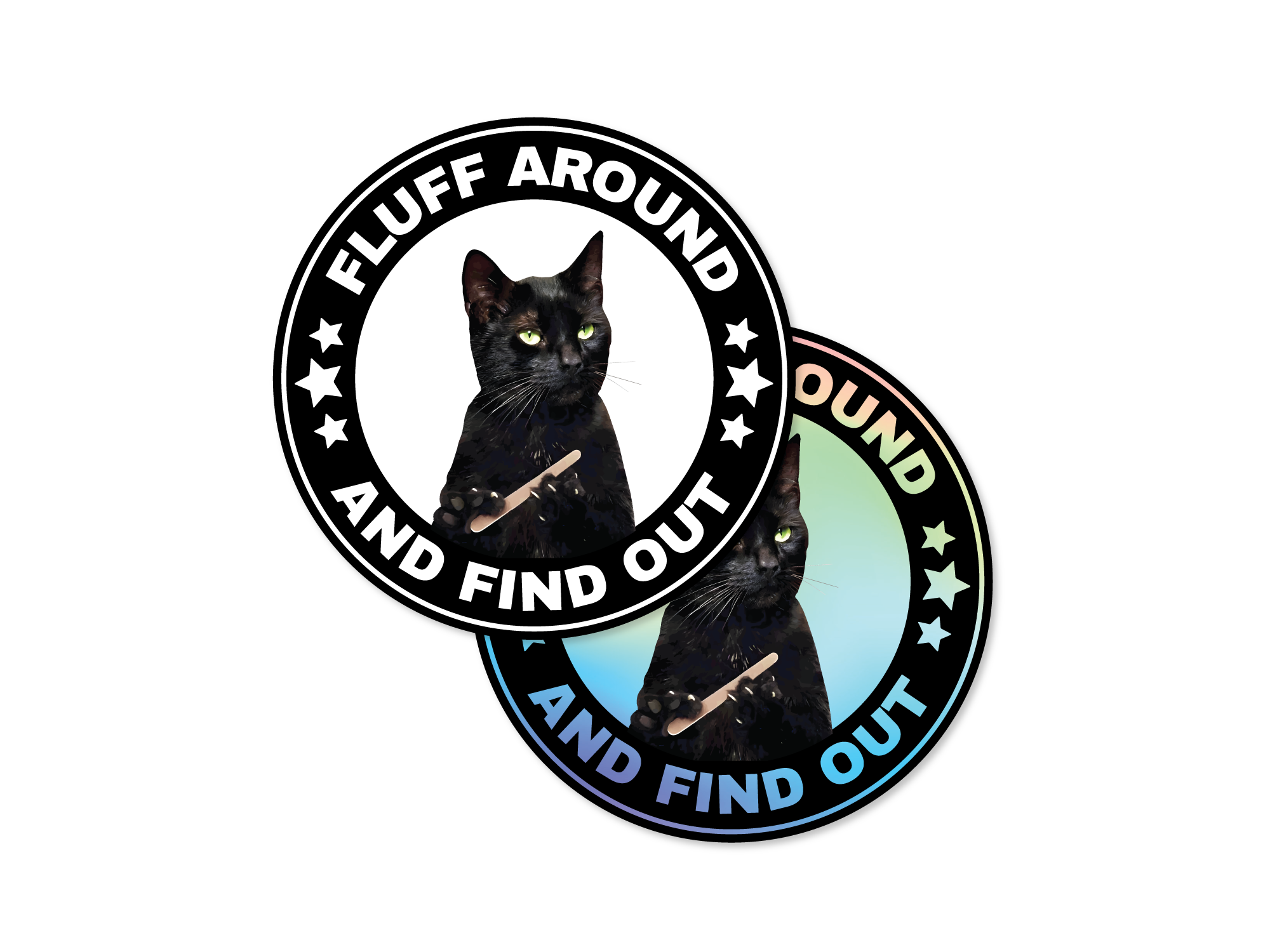 Two circular stickers with a black cat and text 'Fluff Around and Find Out' on a white background.