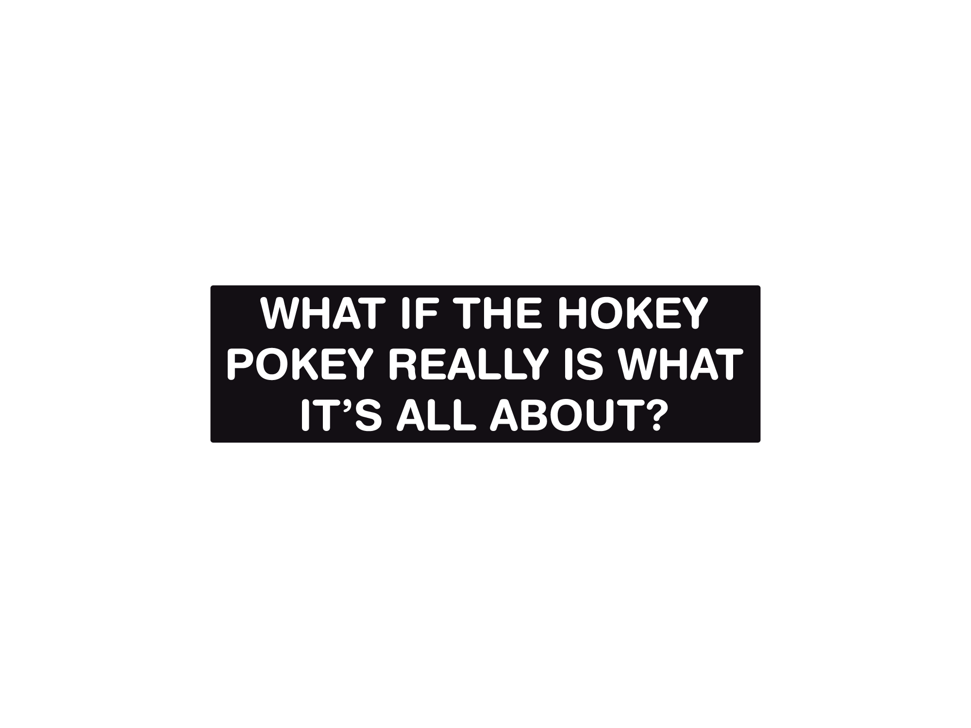Rectangular black bumper sticker with bold white text that says “What if the Hokey Pokey really is what it’s all about?”
