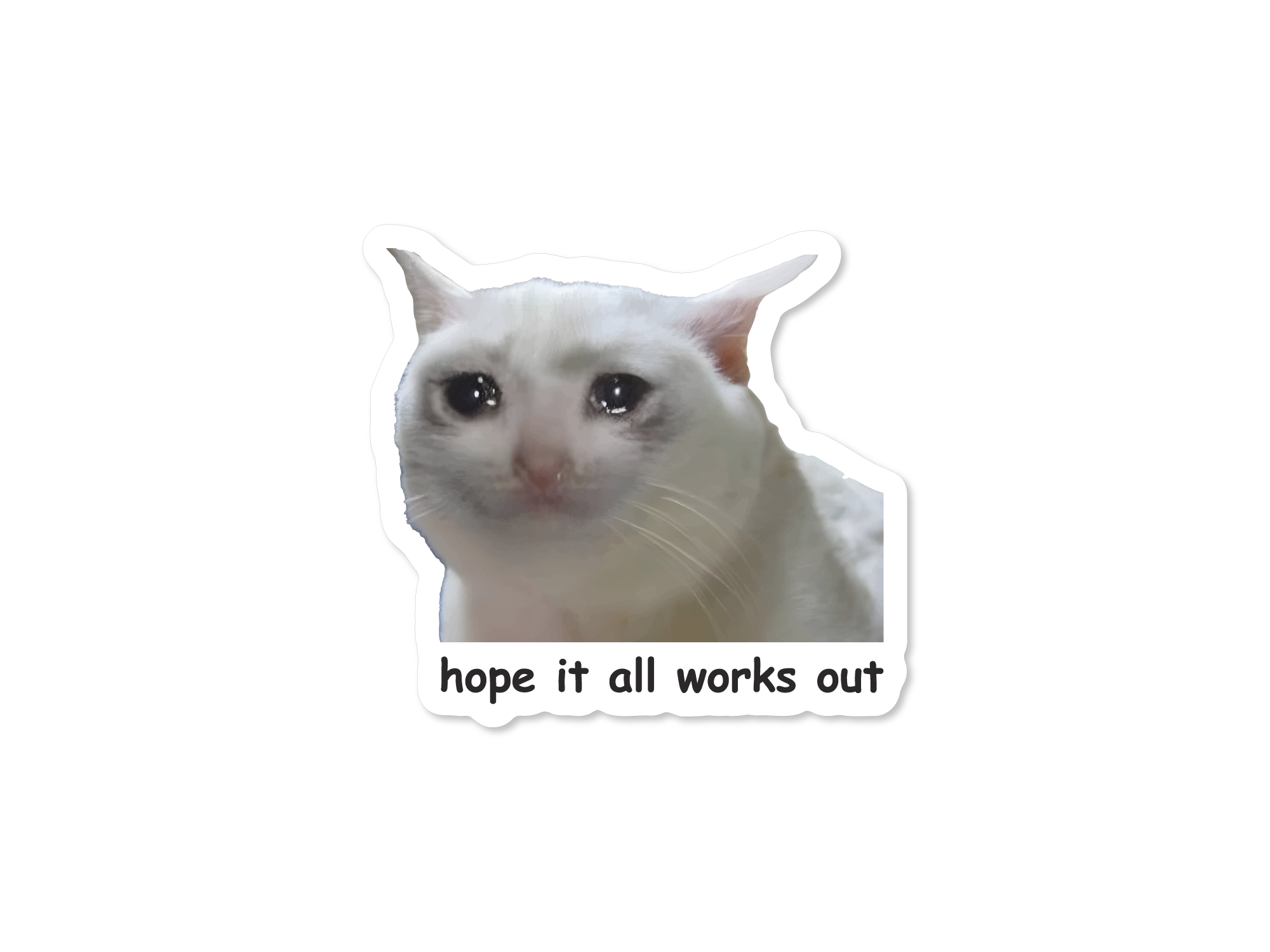 A set of three stickers featuring different cats with the text 'Hope it all works out' and variations of the phrase 'I hope it all works out' in a humorous and relatable context.