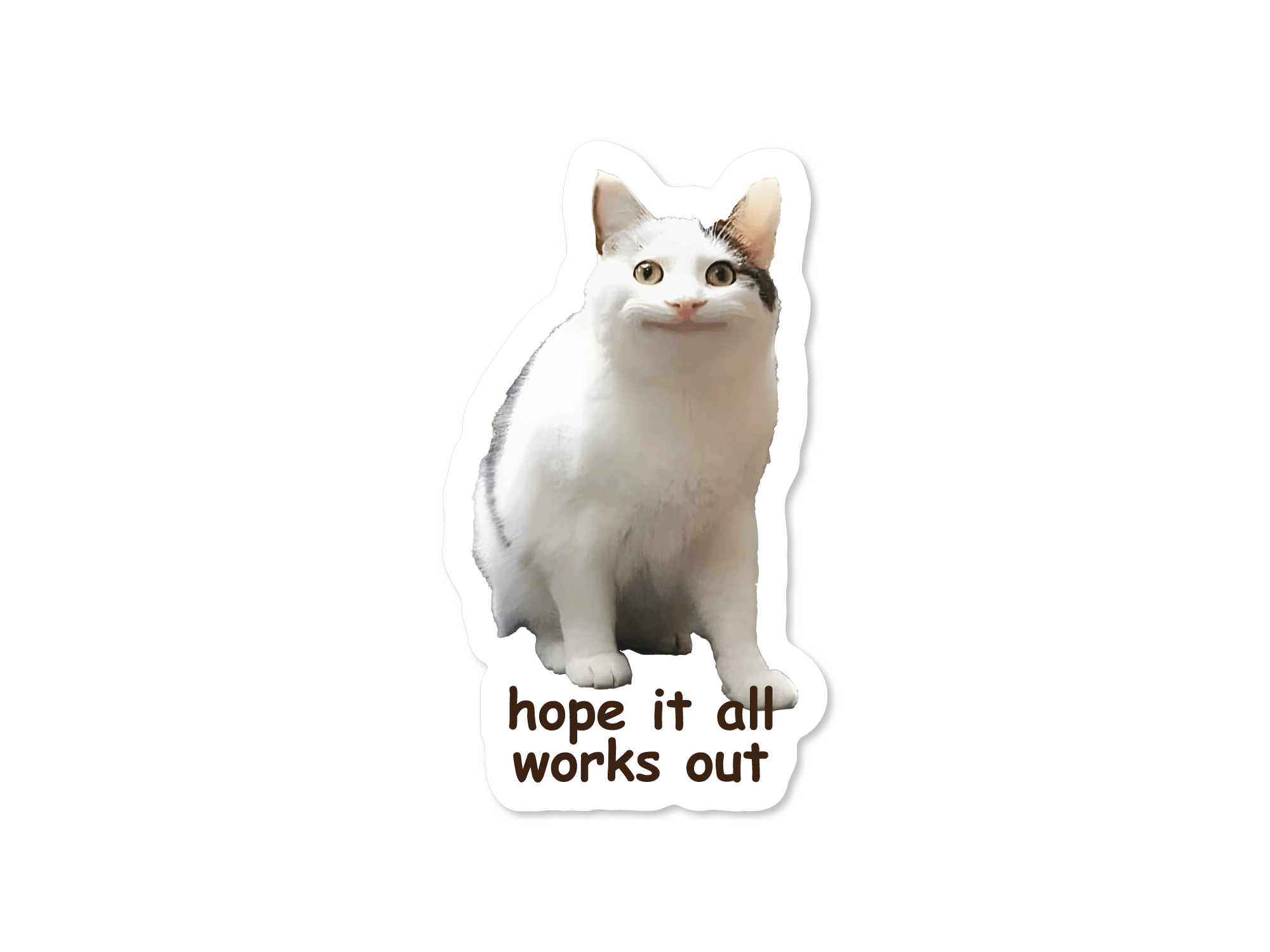 A set of three stickers featuring different cats with the text 'Hope it all works out' and variations of the phrase 'I hope it all works out' in a humorous and relatable context.