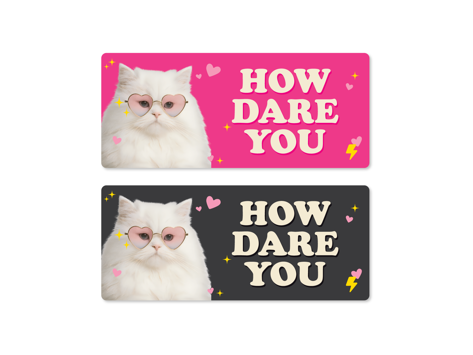 Two stickers with a cat wearing sunglasses and 'HOW DARE YOU' text on pink and black backgrounds.