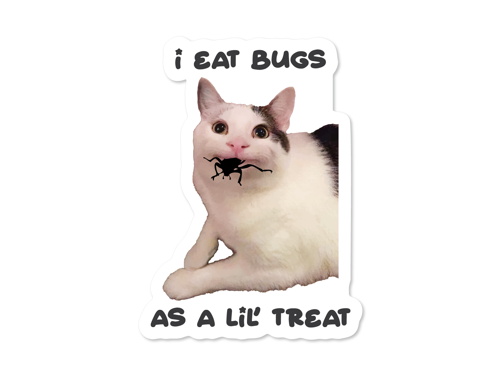 Cat with a bug in its mouth and text 'I eat bugs as a lil' treat' on a white background