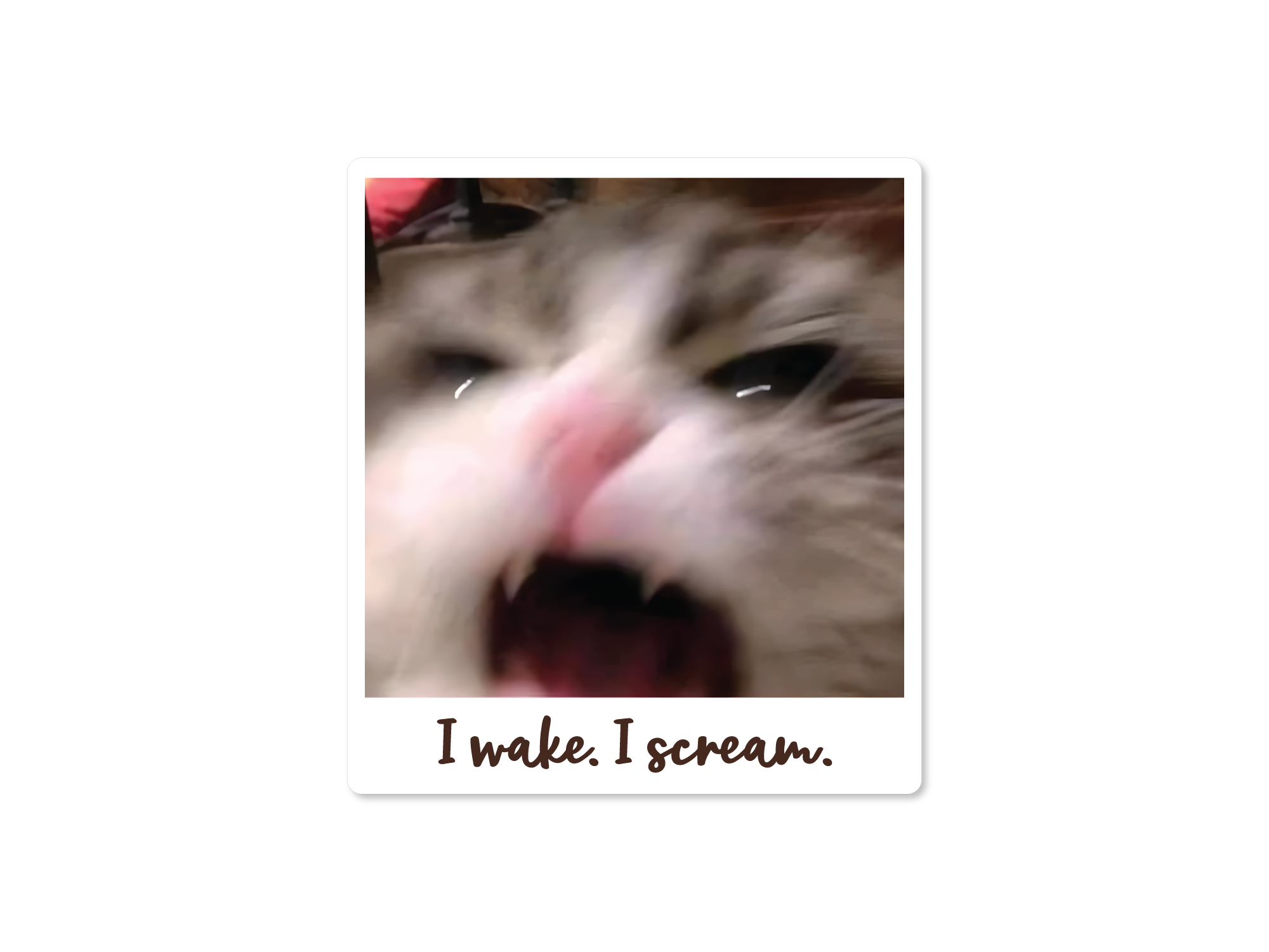 A sticker depicting a close-up image of a cat with the text 'I wake. I scream.' written on it.