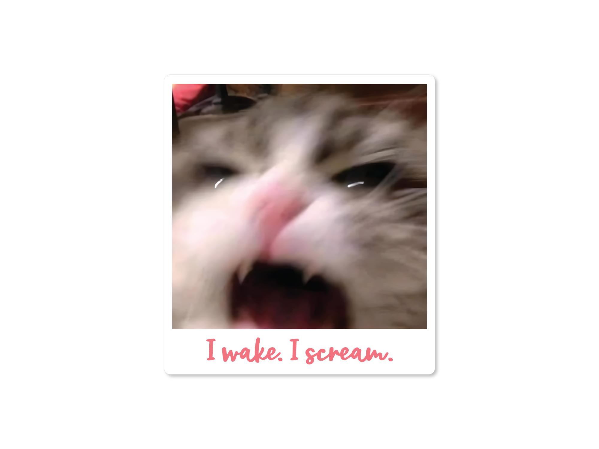 A sticker depicting a close-up image of a cat with the text 'I wake. I scream.' written on it.
