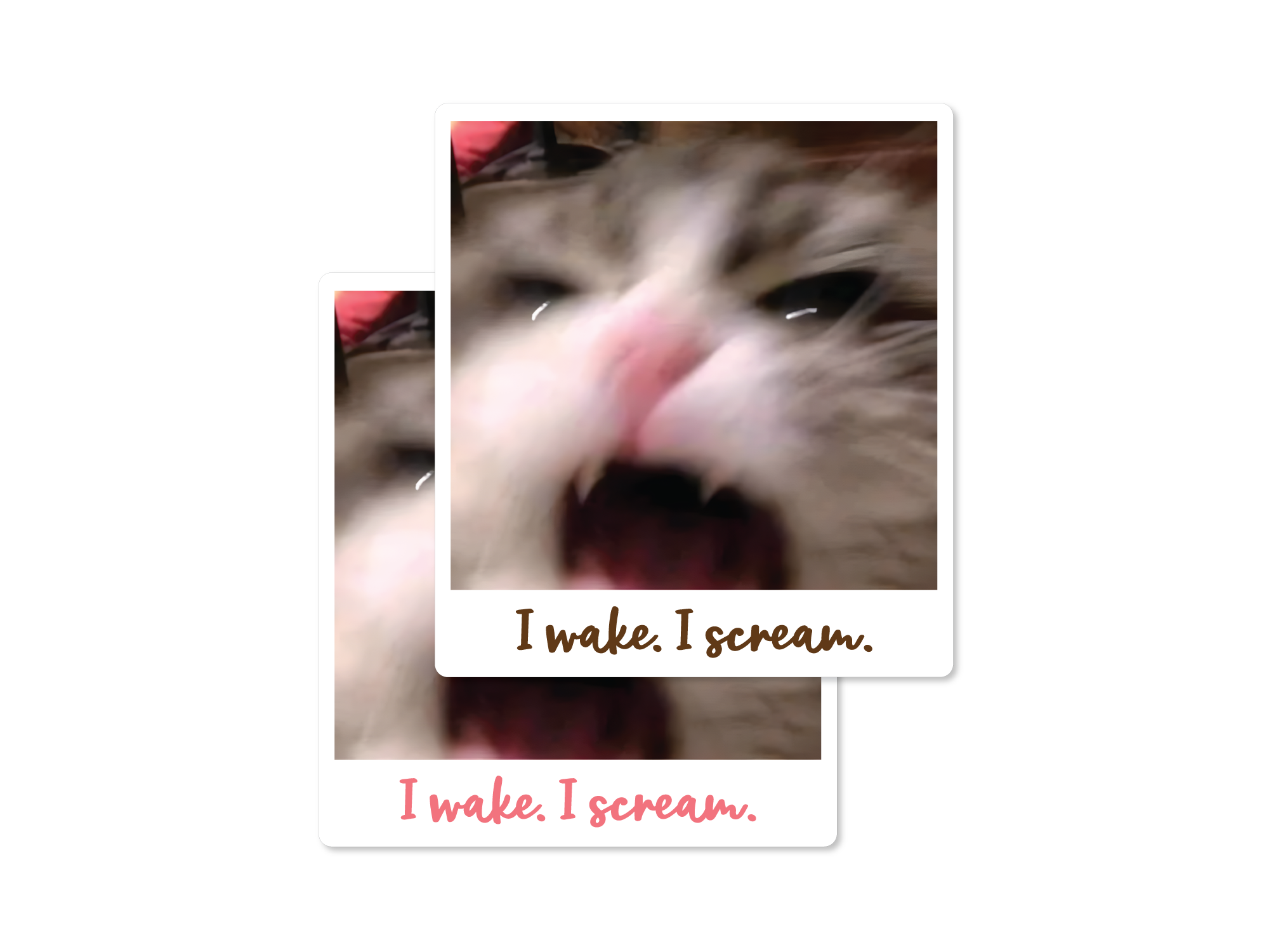 Close-up of a cat's face with text 'I wake. I scream.'