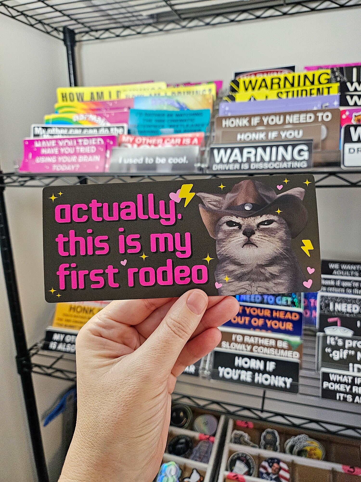 rectangular “Actually, This Is My First Rodeo” bumper stickers shown in pink and dark gray color options with a serious cowboy cat, hearts, sparkles, and lightning bolts.
