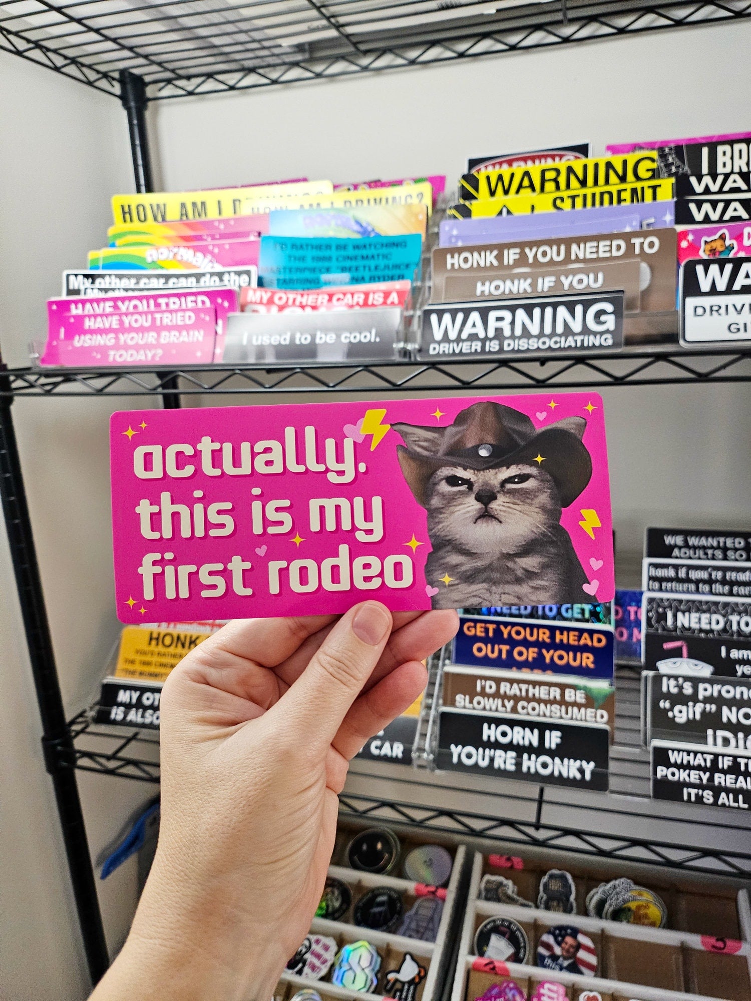 rectangular “Actually, This Is My First Rodeo” bumper stickers shown in pink and dark gray color options with a serious cowboy cat, hearts, sparkles, and lightning bolts.
