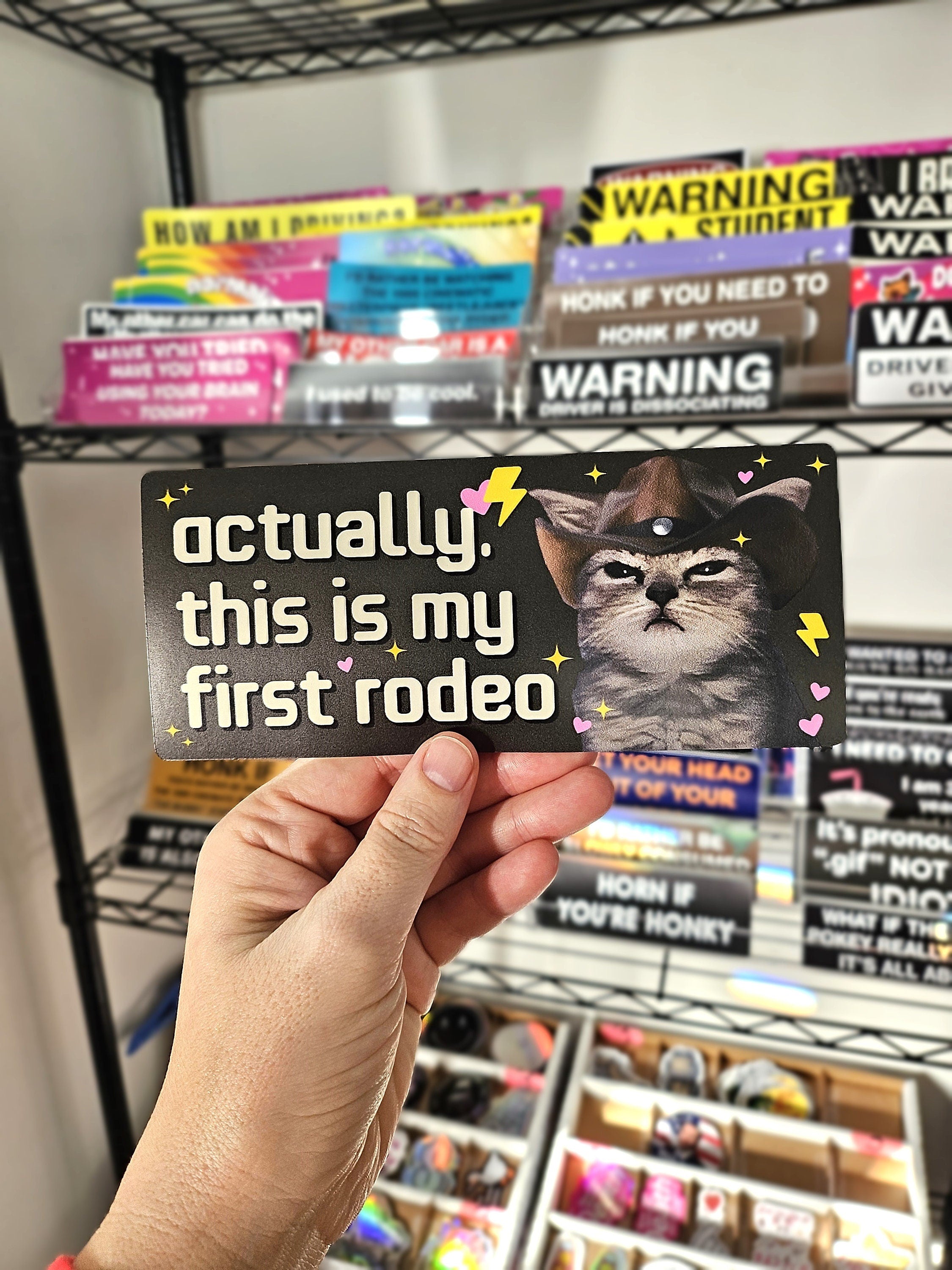 rectangular “Actually, This Is My First Rodeo” bumper stickers shown in pink and dark gray color options with a serious cowboy cat, hearts, sparkles, and lightning bolts.
