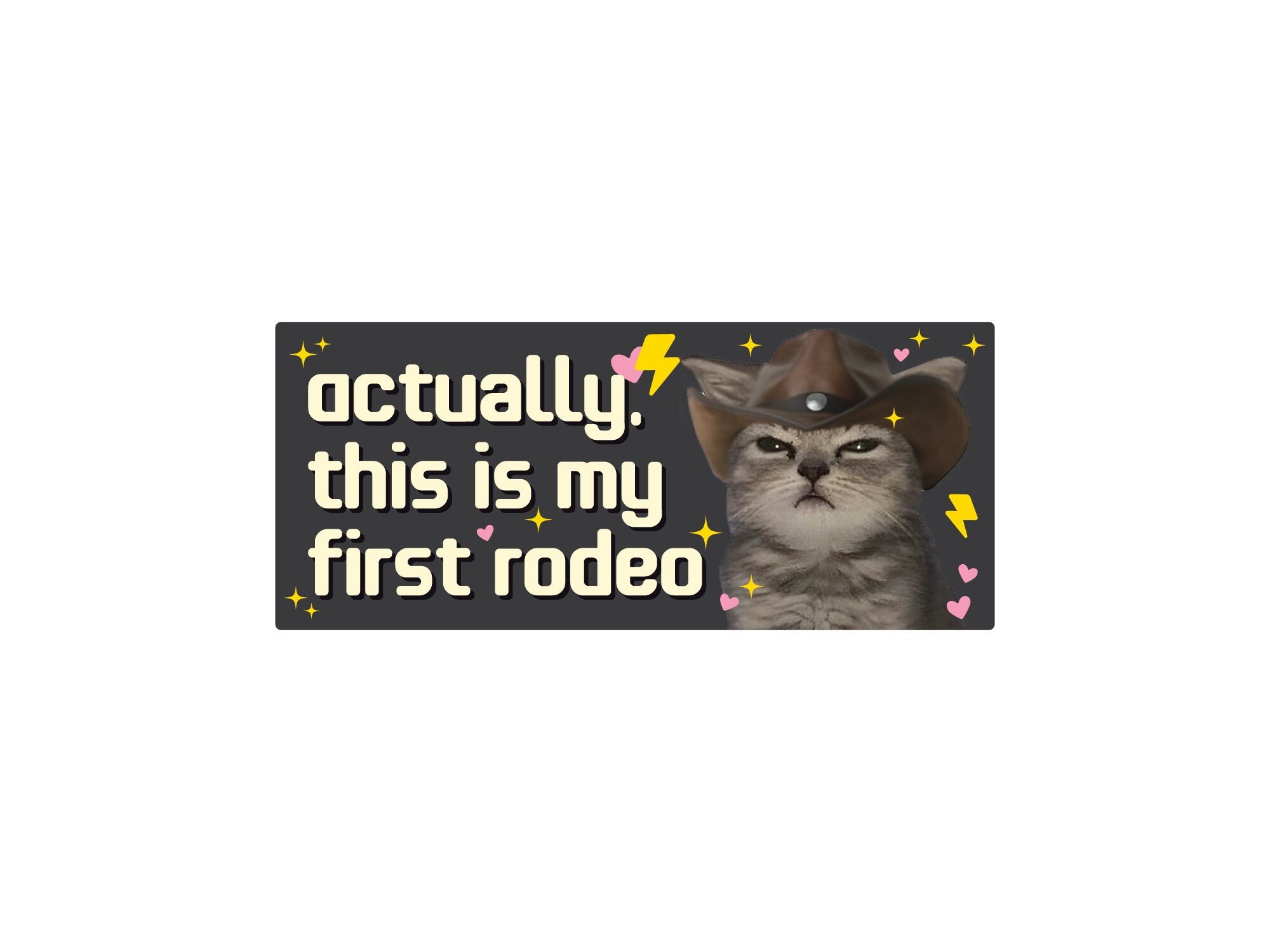 rectangular “Actually, This Is My First Rodeo” bumper stickers shown in pink and dark gray color options with a serious cowboy cat, hearts, sparkles, and lightning bolts.
