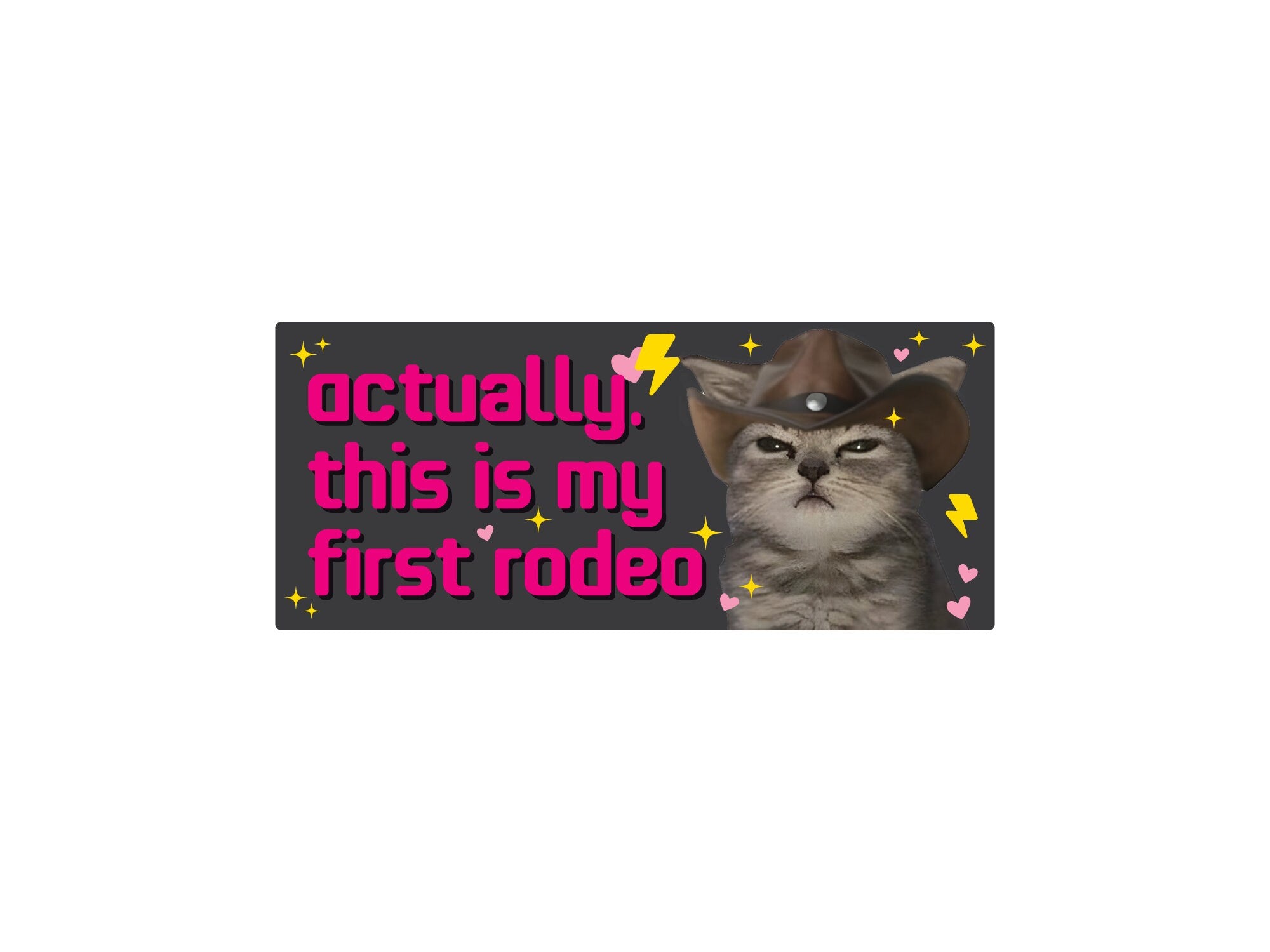 rectangular “Actually, This Is My First Rodeo” bumper stickers shown in pink and dark gray color options with a serious cowboy cat, hearts, sparkles, and lightning bolts.
