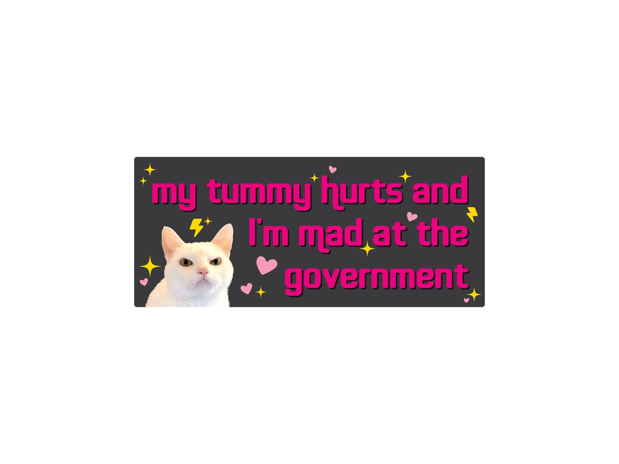 rectangular bumper stickers that say “my tummy hurts and I’m mad at the government,” shown in pink and dark gray color options with a serious white cat, hearts, sparkles, and lightning bolts.
