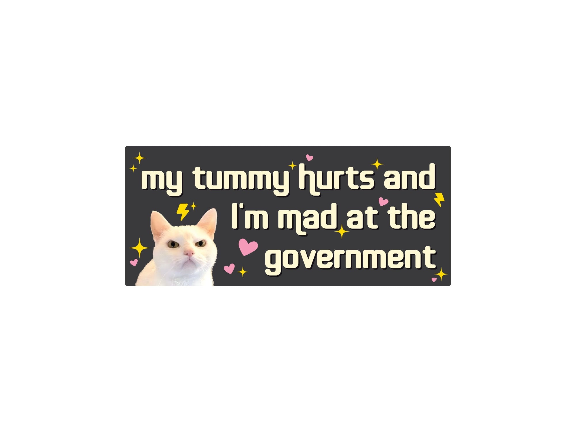 rectangular bumper stickers that say “my tummy hurts and I’m mad at the government,” shown in pink and dark gray color options with a serious white cat, hearts, sparkles, and lightning bolts.
