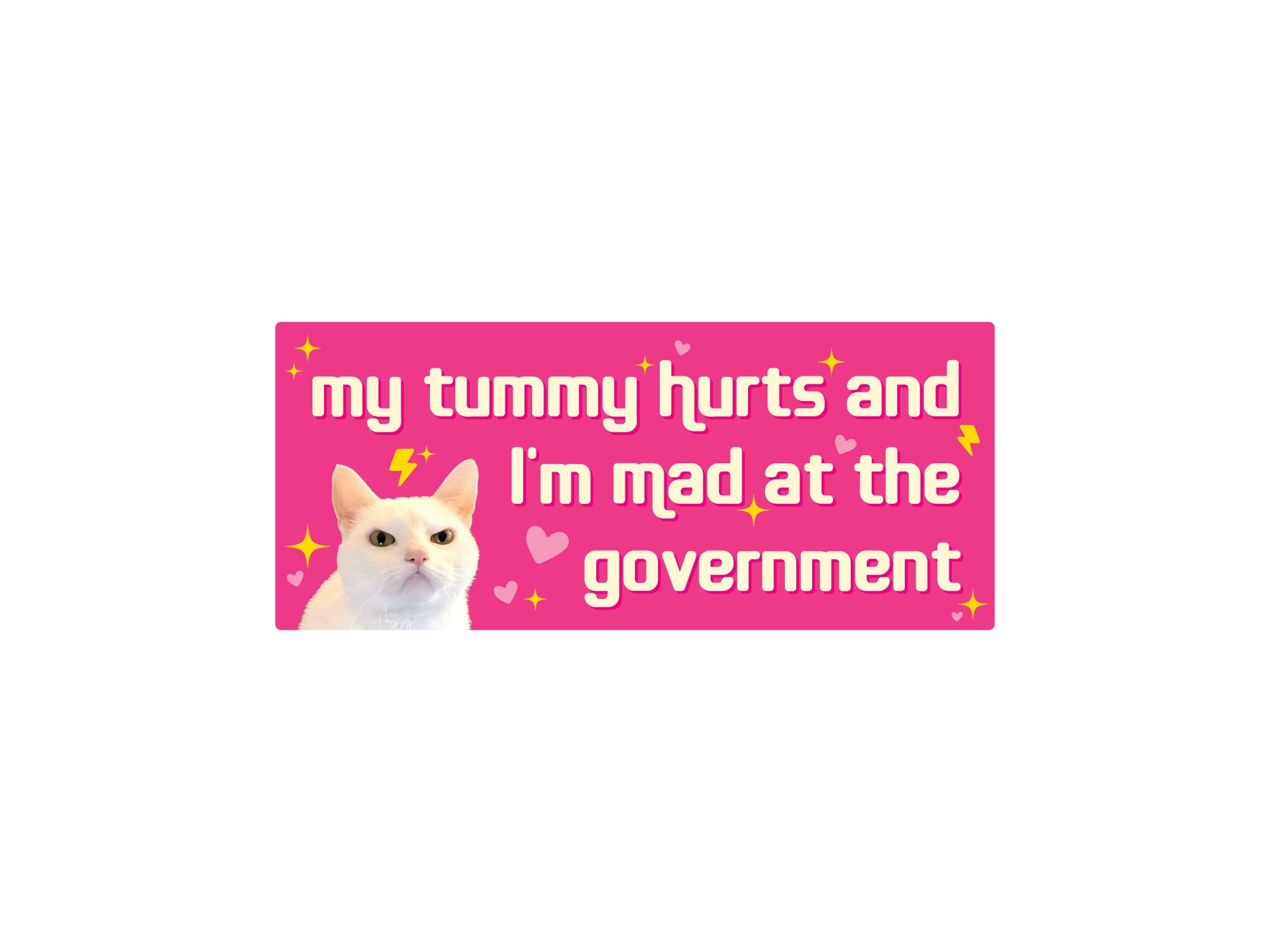 rectangular bumper stickers that say “my tummy hurts and I’m mad at the government,” shown in pink and dark gray color options with a serious white cat, hearts, sparkles, and lightning bolts.
