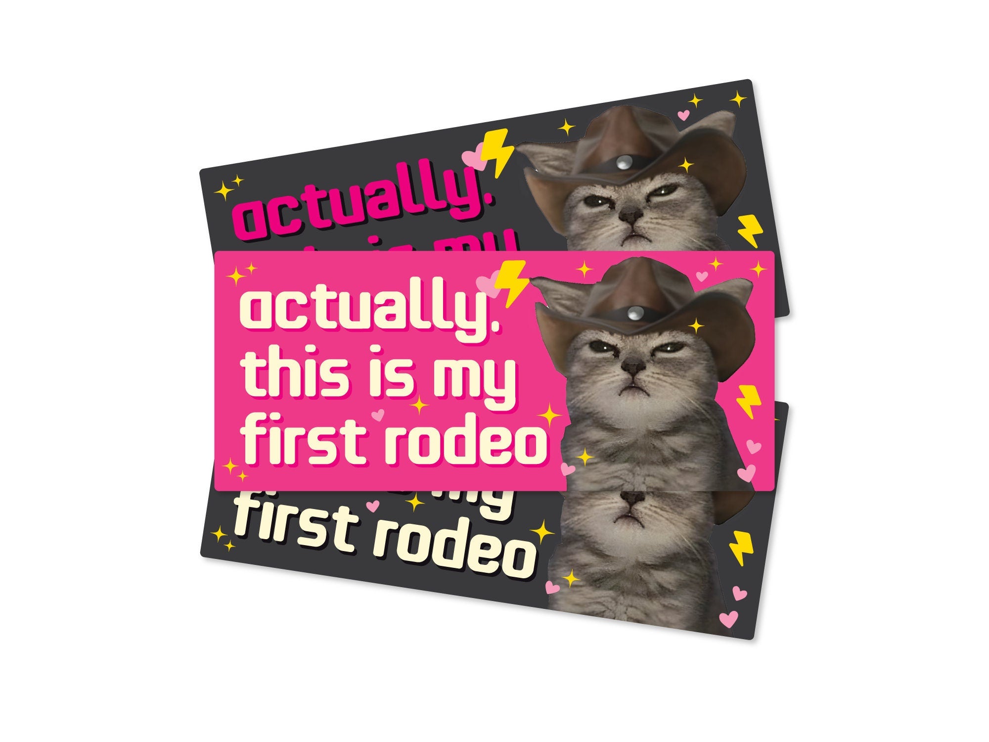 Three rectangular “Actually, This Is My First Rodeo” bumper stickers shown in pink and dark gray color options with a serious cowboy cat, hearts, sparkles, and lightning bolts.
