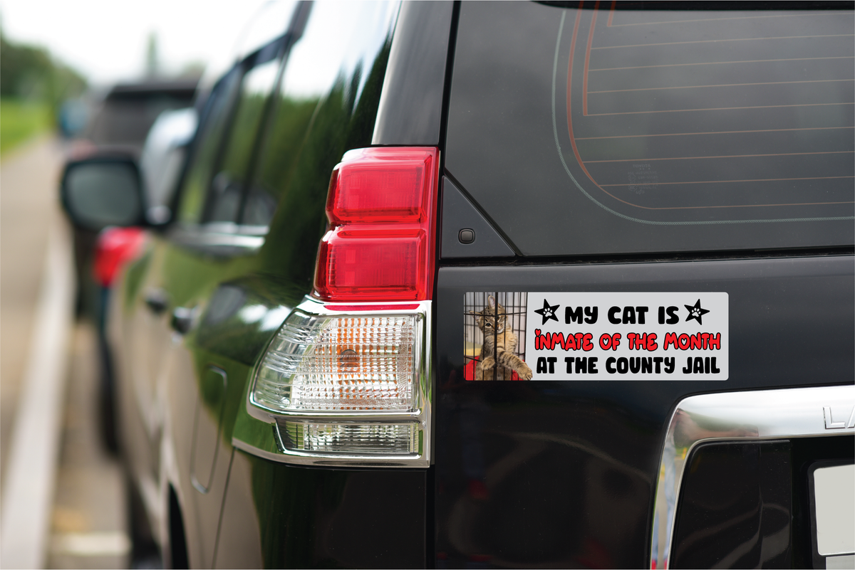 A rectangular bumper sticker with the text 'MY CAT IS INMATE OF THE MONTH AT THE COUNTY JAIL' and a small cat photo, applied to the rear side window of a black vehicle.