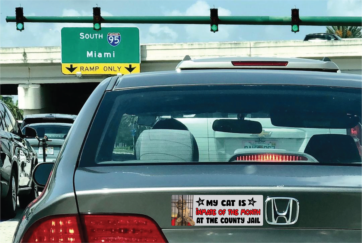 A silver Honda car in traffic on a highway, showing a rear view with a humorous decal that reads 'MY CAT IS INMATE OF THE MONTH AT THE COUNTY JAIL' and a visible Honda logo emblem. A green 'South 95 Miami' highway sign is visible in the background under a blue sky.