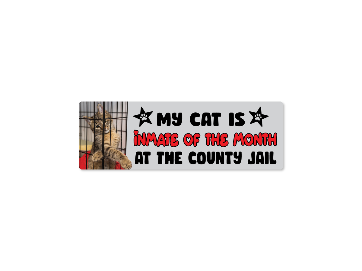 A rectangular novelty sticker with a photo of a cat in a cage on the left and the text 'MY CAT IS INMATE OF THE MONTH AT THE COUNTY JAIL' on a white background.