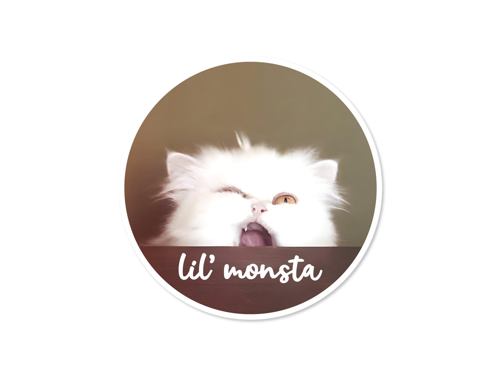 Circular sticker with a fluffy white cat and 'lil' monsta' text on a brown background