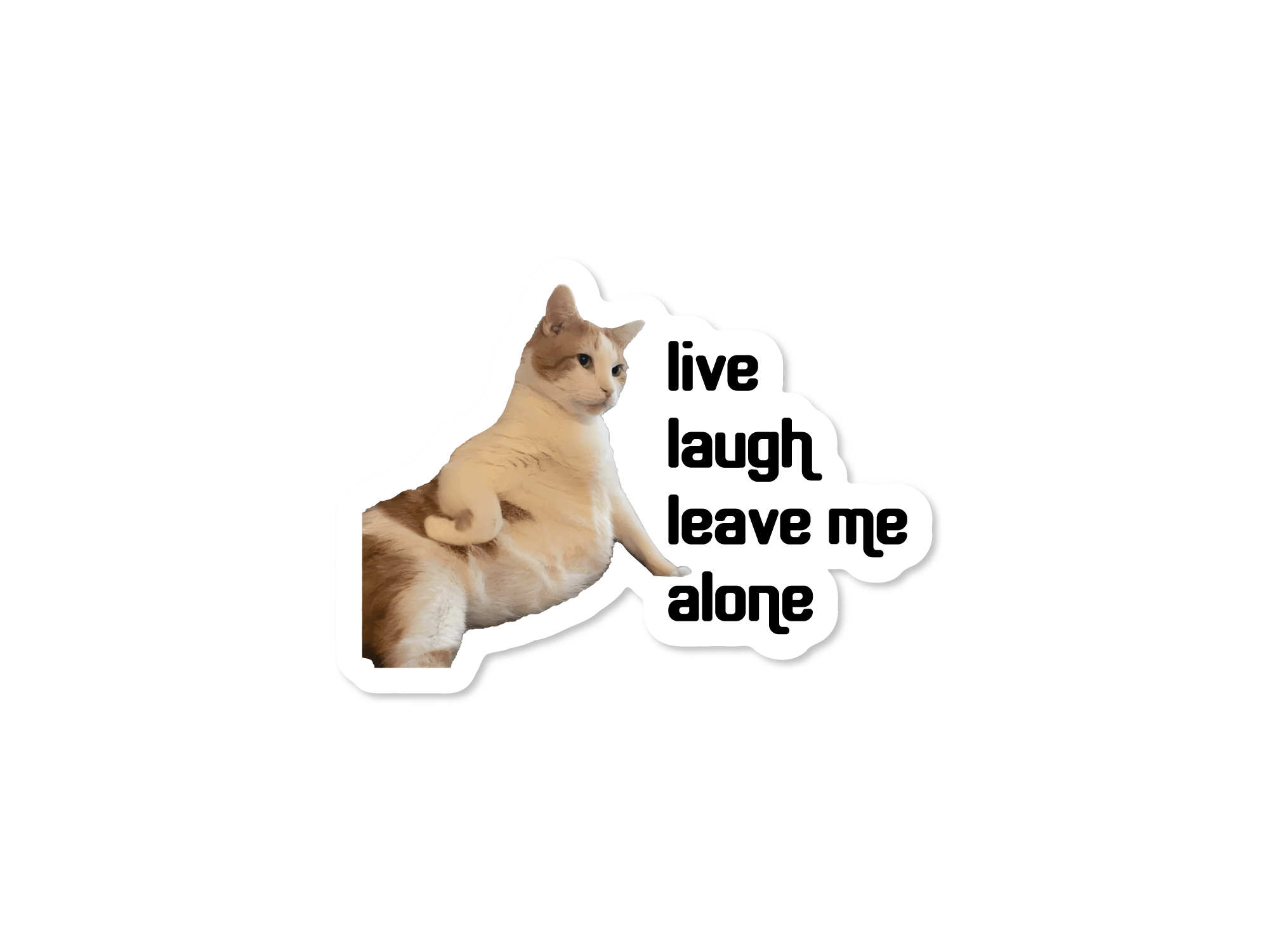 Die cut sticker featuring a lounging orange cat with black text that says “live laugh leave me alone.”

