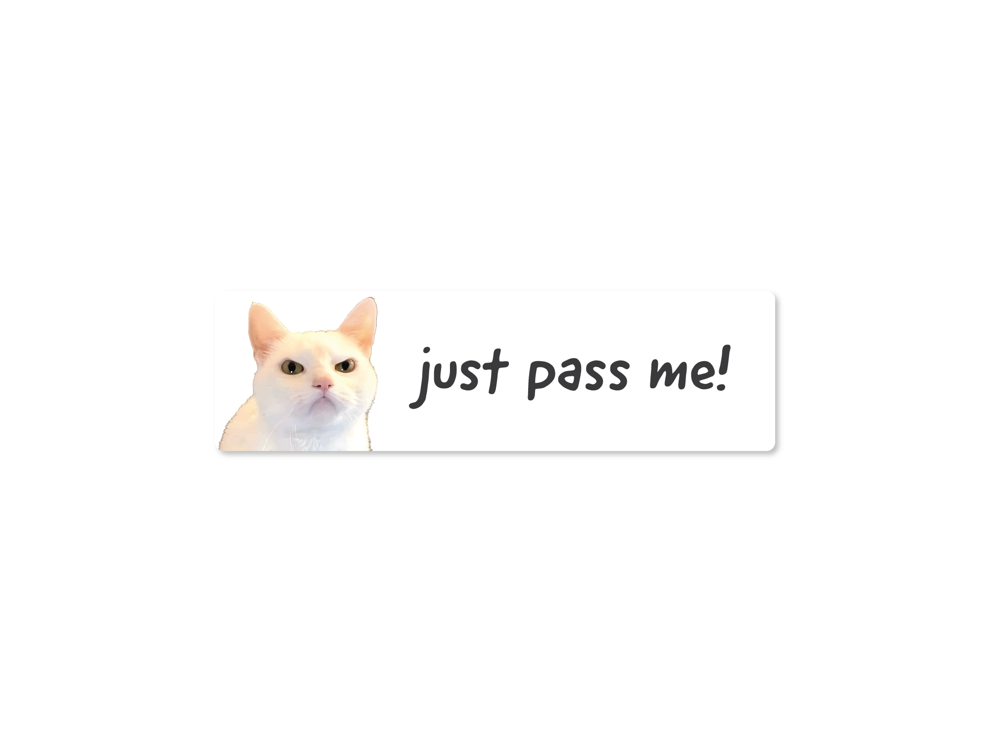 A bumper stickers with the text 'just pass me!' and an image of a white cat.