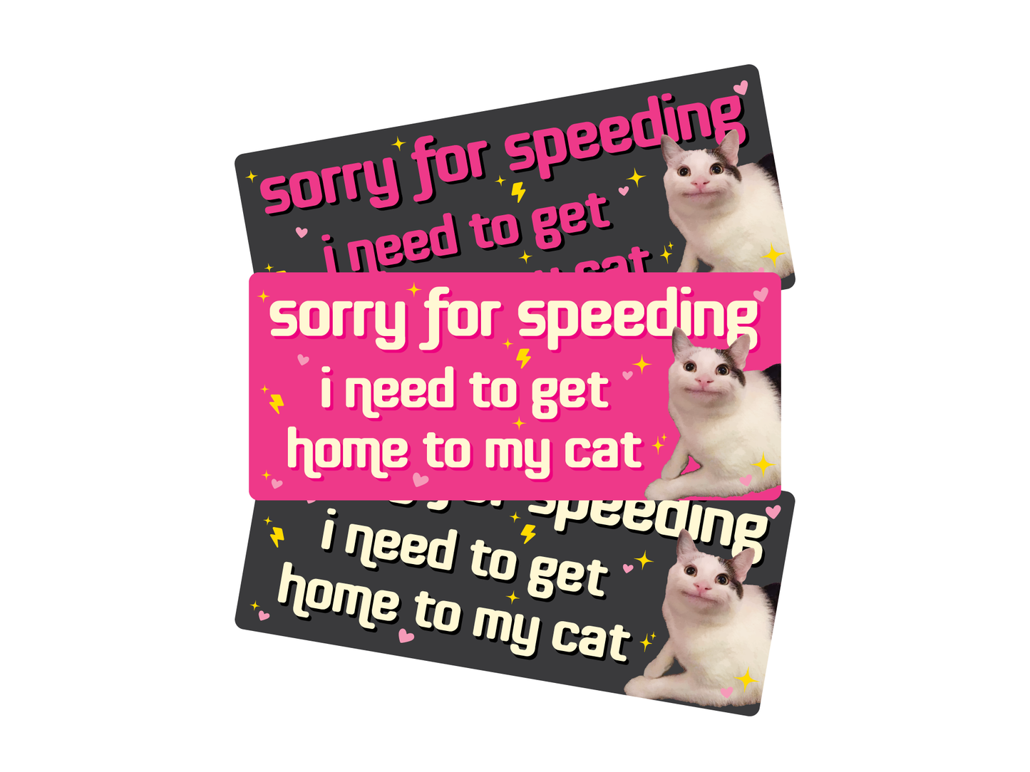 Sorry For Speeding 7" Funny Cat Bumper Sticker, weatherproof