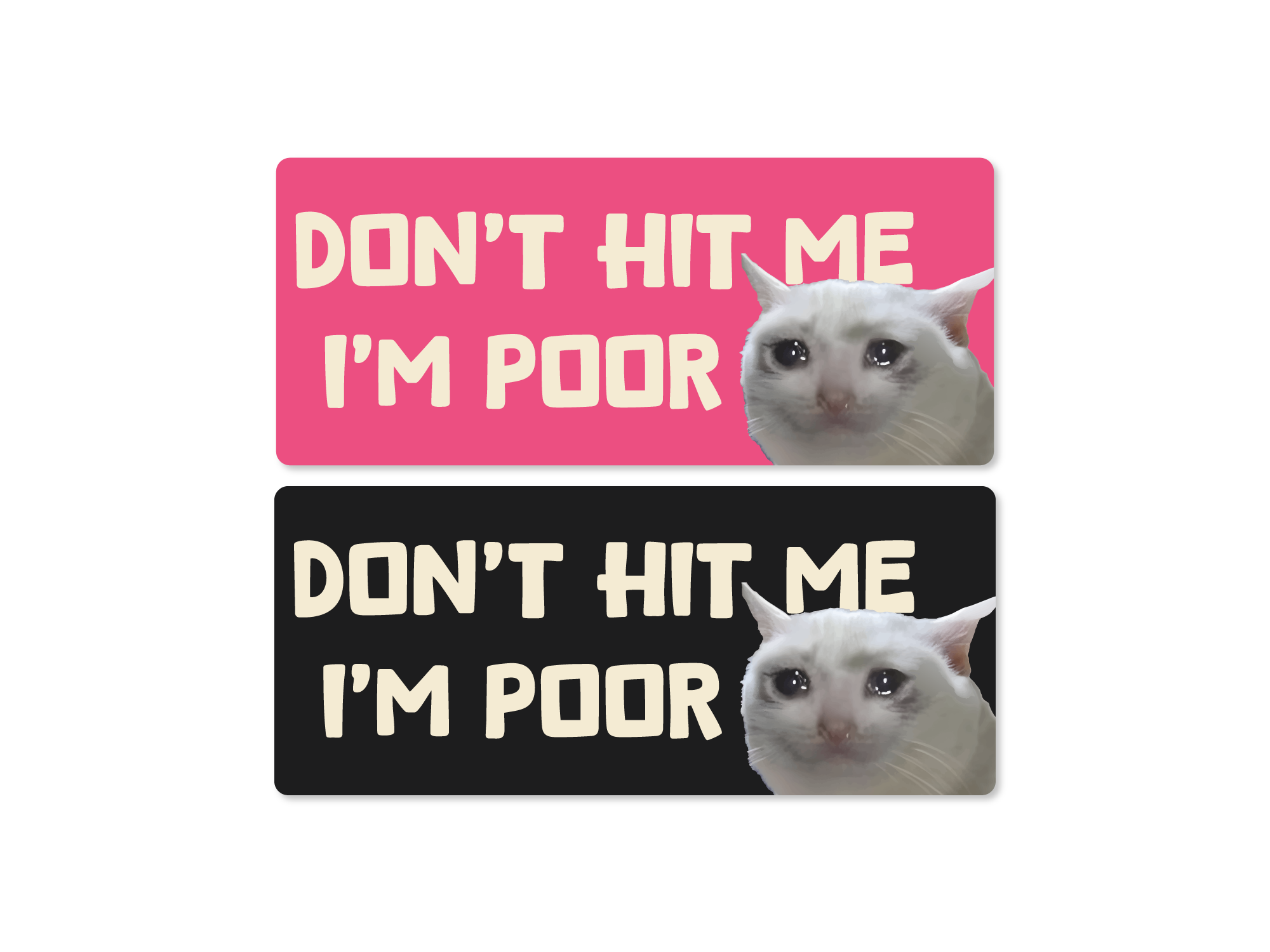 Two stickers with a cat and text 'Don't hit me I'm poor' on pink and black backgrounds.