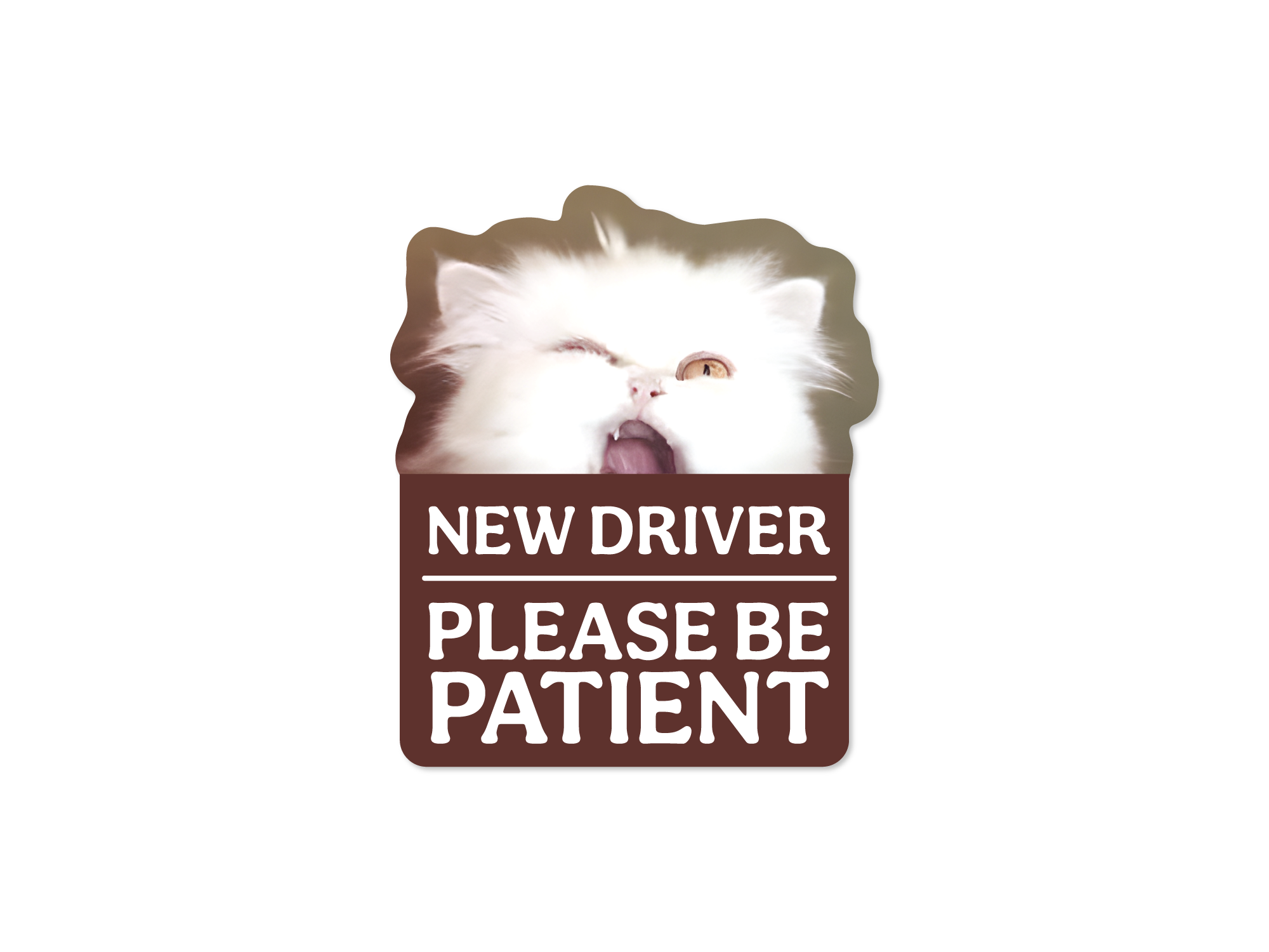 Cat-shaped sign with 'New Driver Please Be Patient' text on a white background