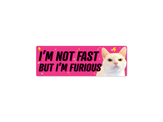 I'm Not Fast But I'm Furious Cat 9" Waterproof Bumper Sticker or Magnet
