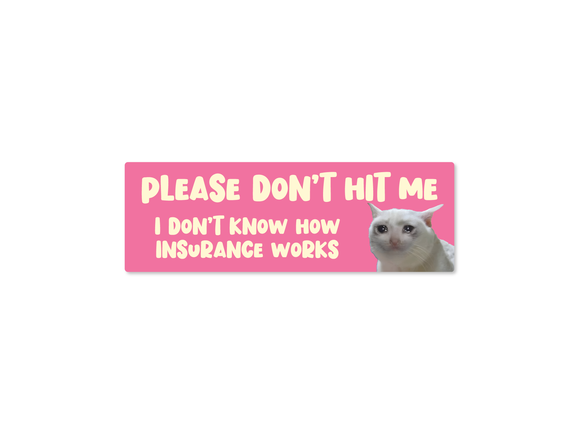 A vinyl bumper sticker with a white background featuring a teary-eyed cat and the text 'Please Don't Hit Me, I Don't Know How Insurance Works'.