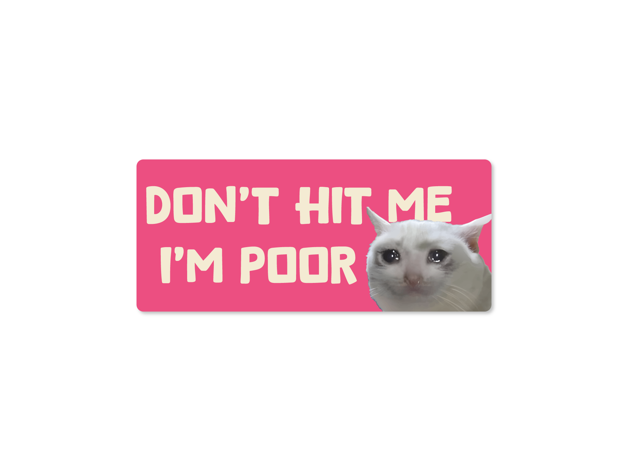 rectangular “Don’t Hit Me I’m Poor” bumper stickers, pink , featuring a teary-eyed white cat with bold cream lettering.
