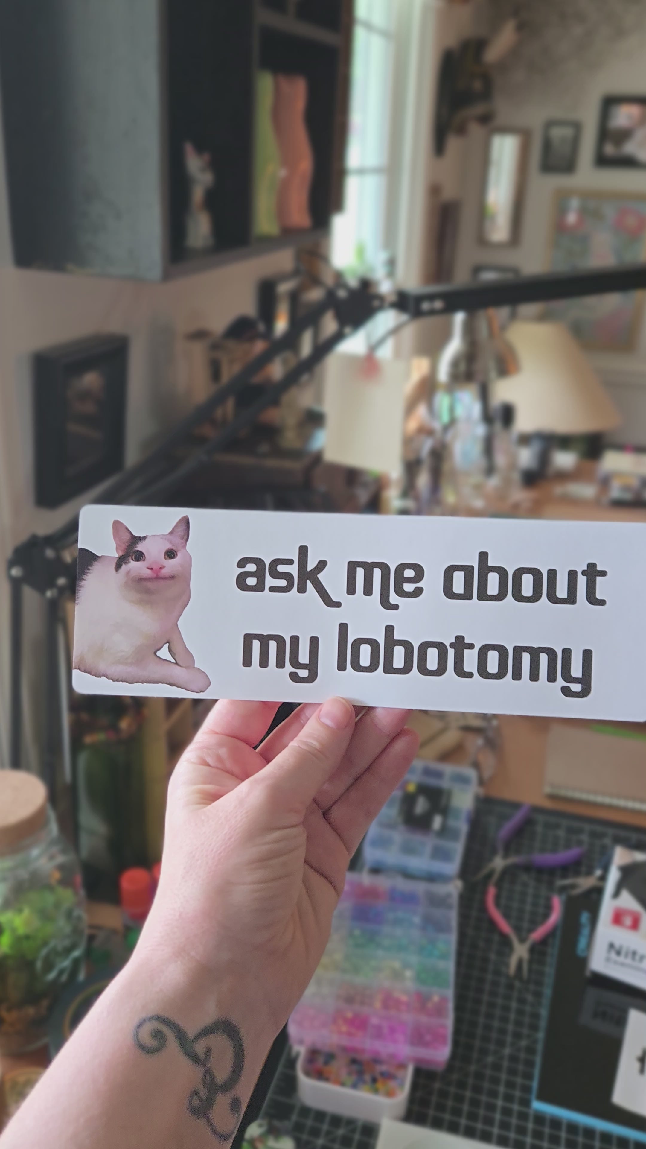 White rectangular bumper sticker featuring a calm white and gray cat on the left with dark gray text that says “ask me about my lobotomy.”